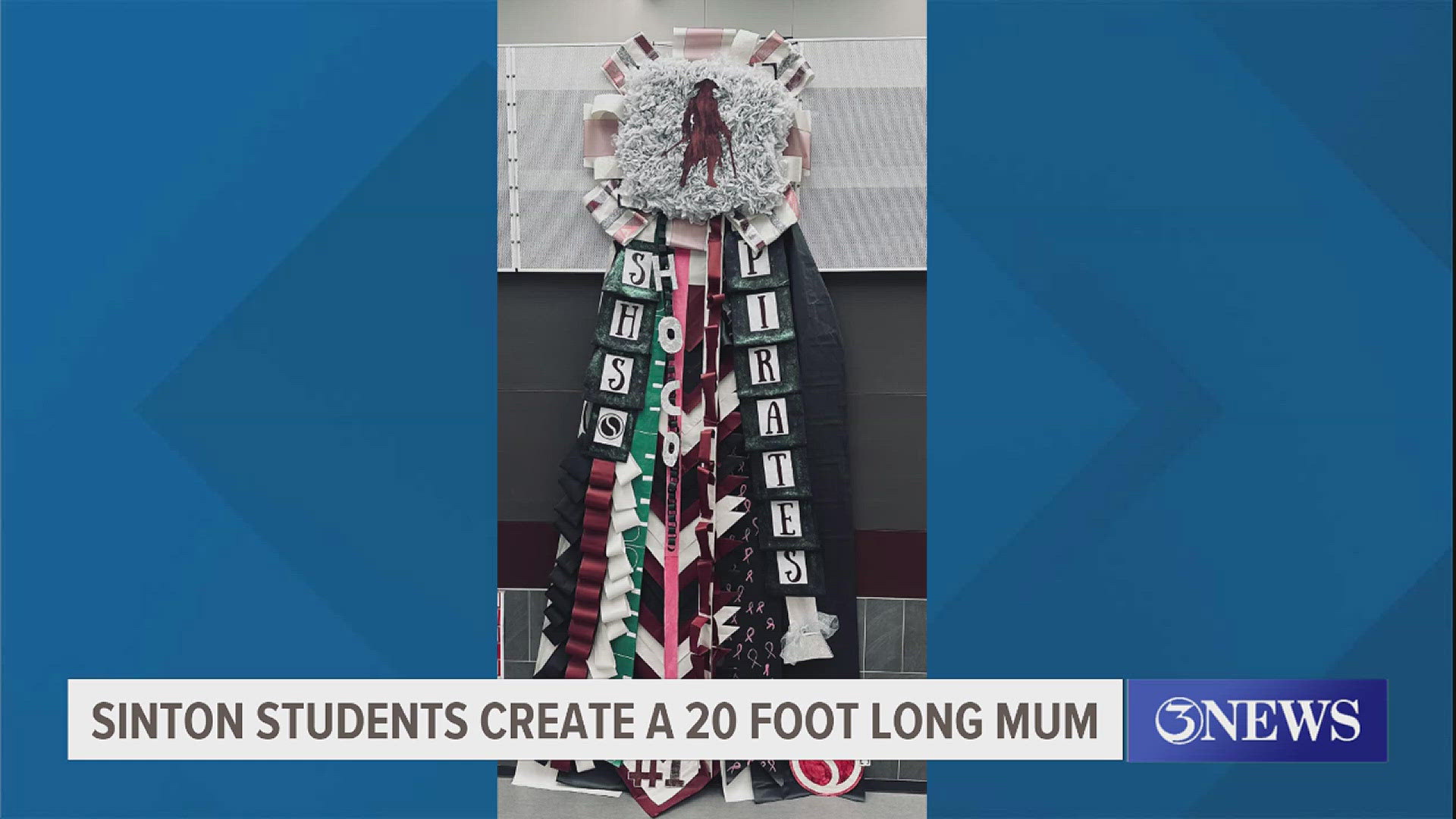 Sinton High School floral design students took over 2,000 pieces of tissue paper, lots of staples and hot glue to create a 20-foot-long mum!