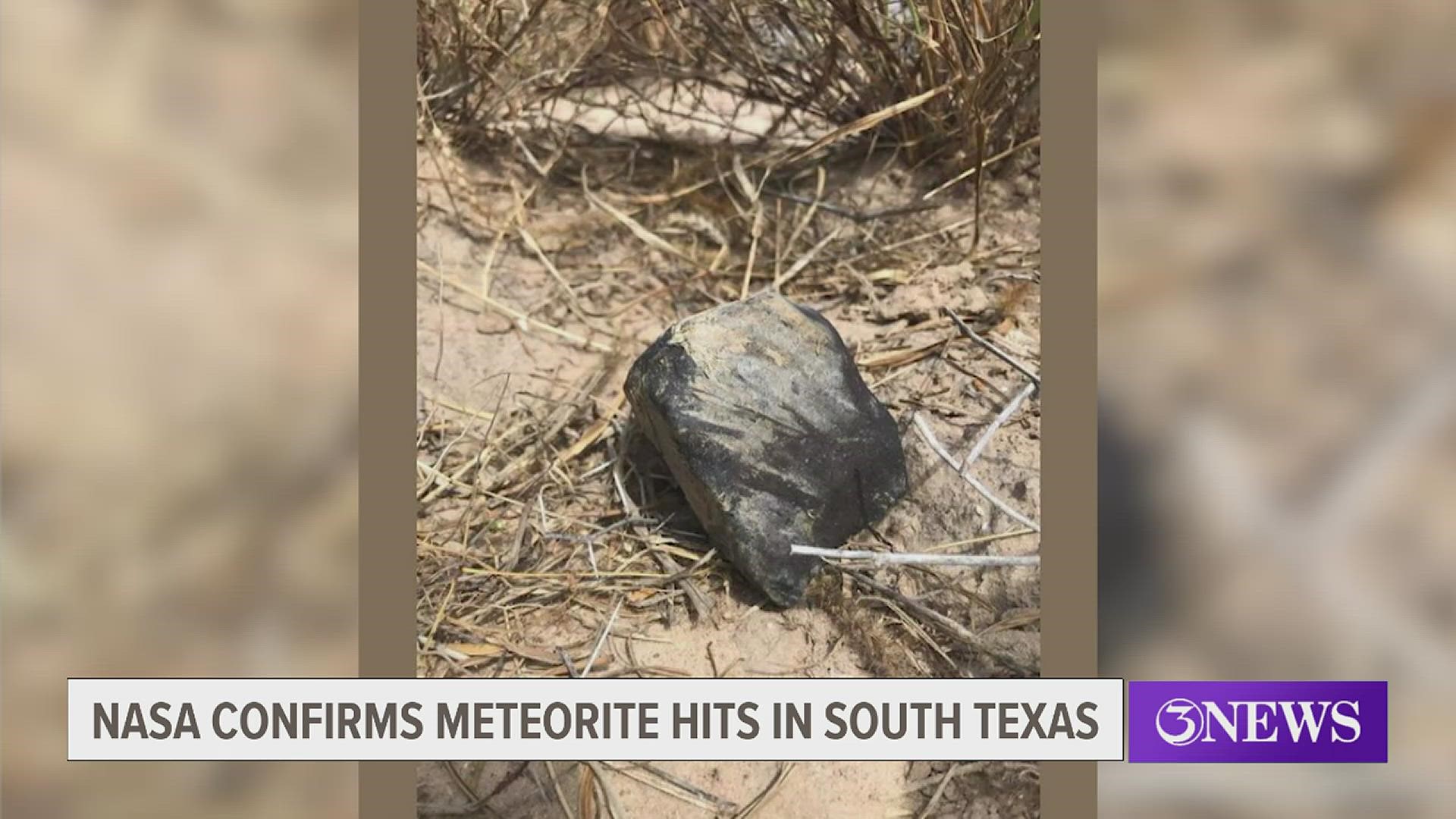 The meteorite, the American Meteor Society says, is from the Feb. 15 event that created a sonic boom and shook houses in the Rio Grande Valley.