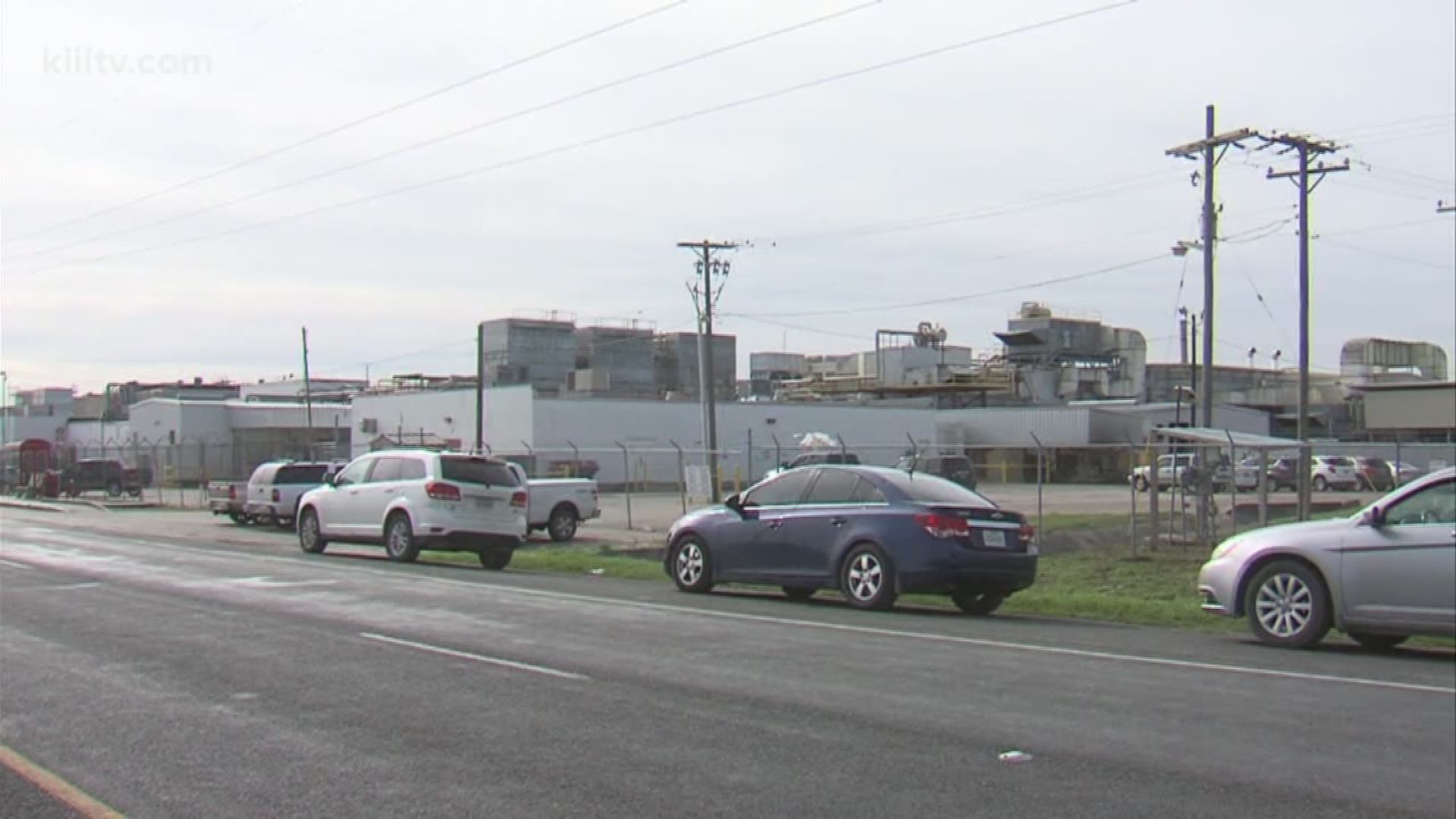 Monday was the first day back at work for hundreds of employees at Sam Kane Beef in Calallen, Texas. It's the world's seventh largest beef processing plant.