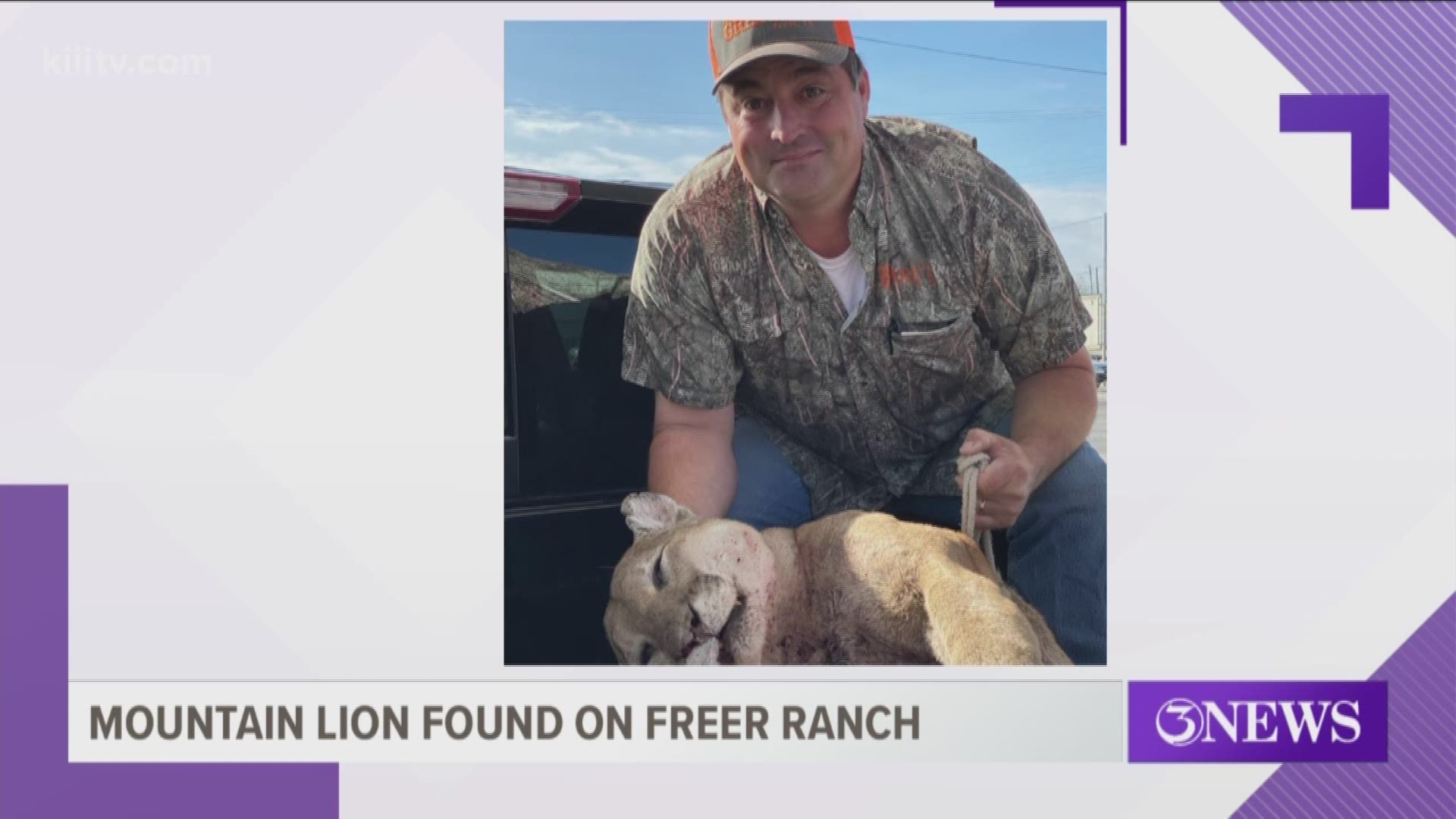 A 143-pound mountain lion was shot by a hunter this weekend on a ranch in Freer, Texas.