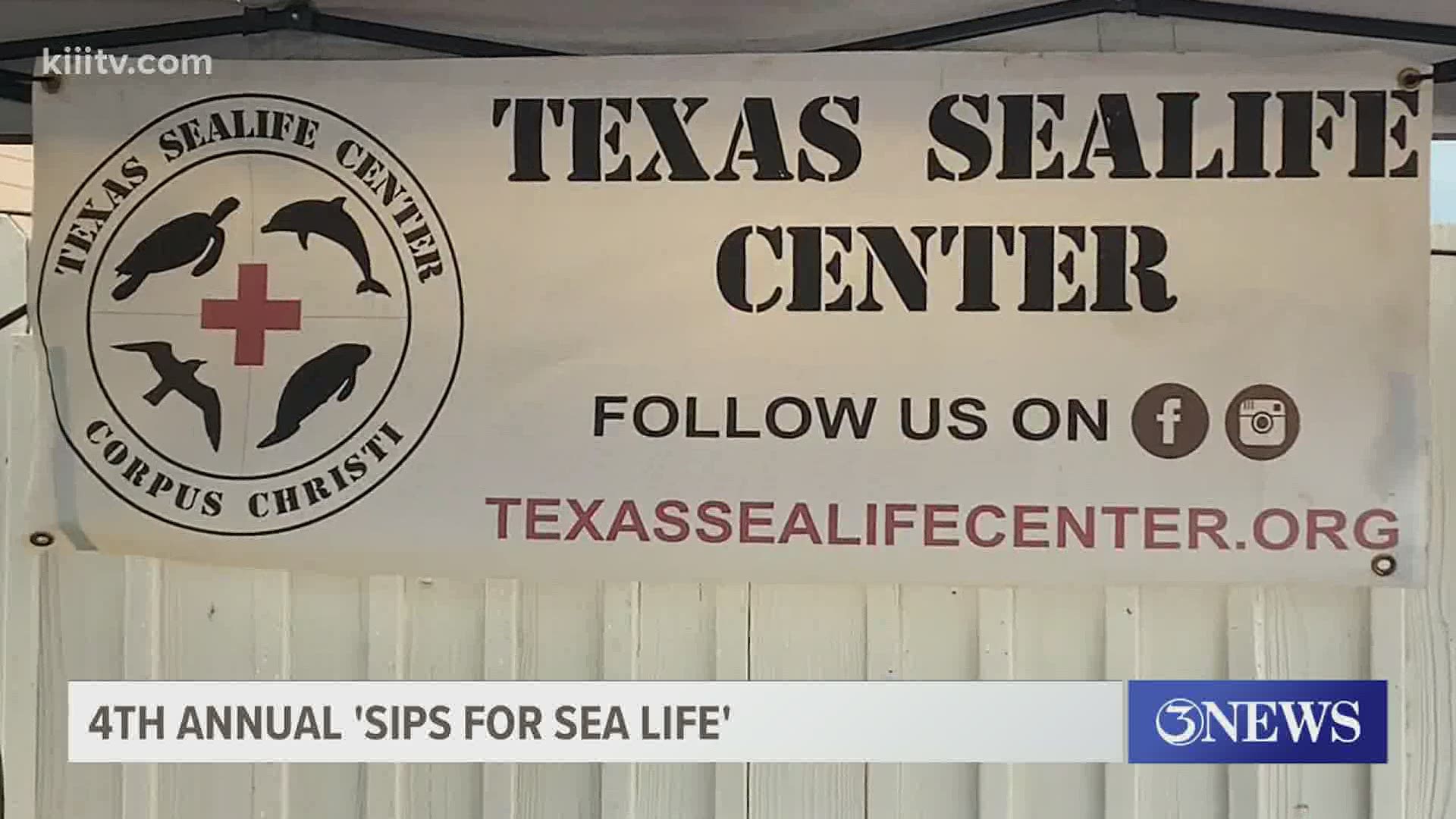 'Sips for Sealife' is an annual event that helps the Texas Sealife Center Corpus Christi and also brings together local vendors.