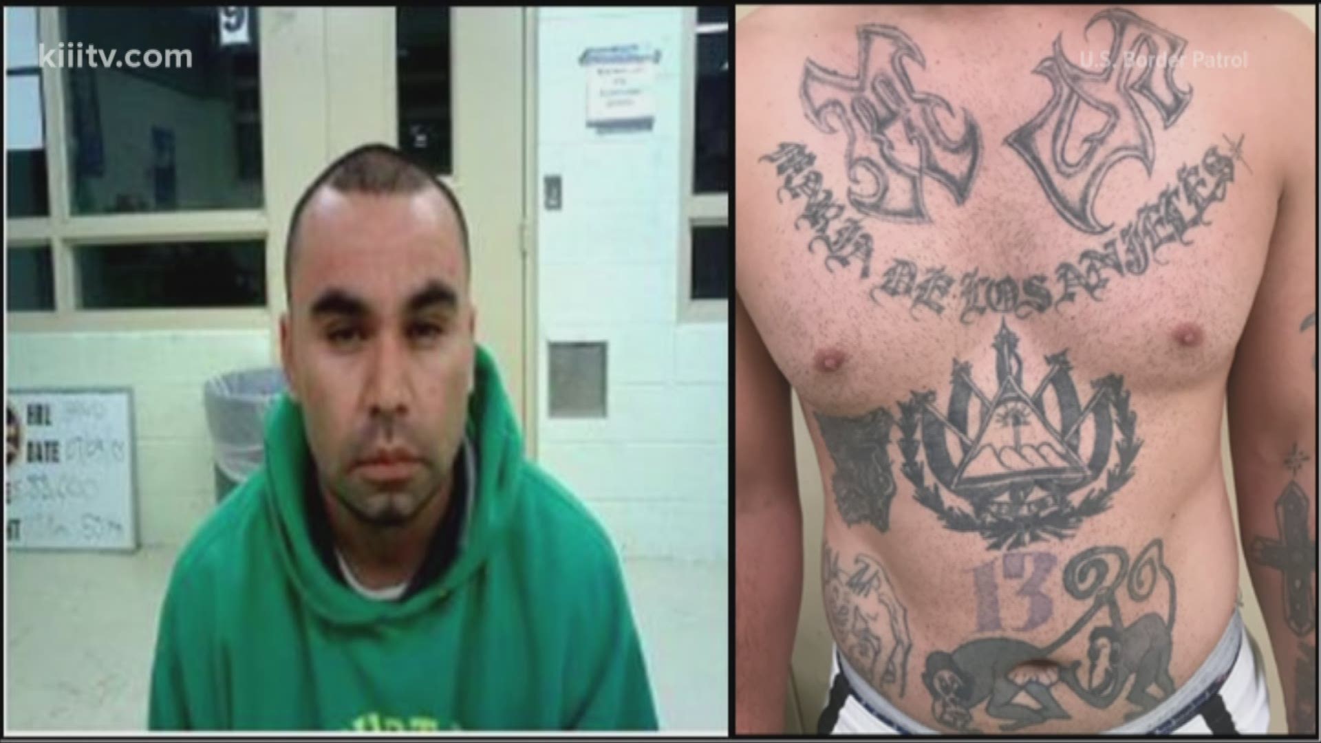 The U.S. Border Patrol arrested a member of the MS-13 gang on the Fourth of July at the Sarita checkpoint just south of Kingsville, Texas.