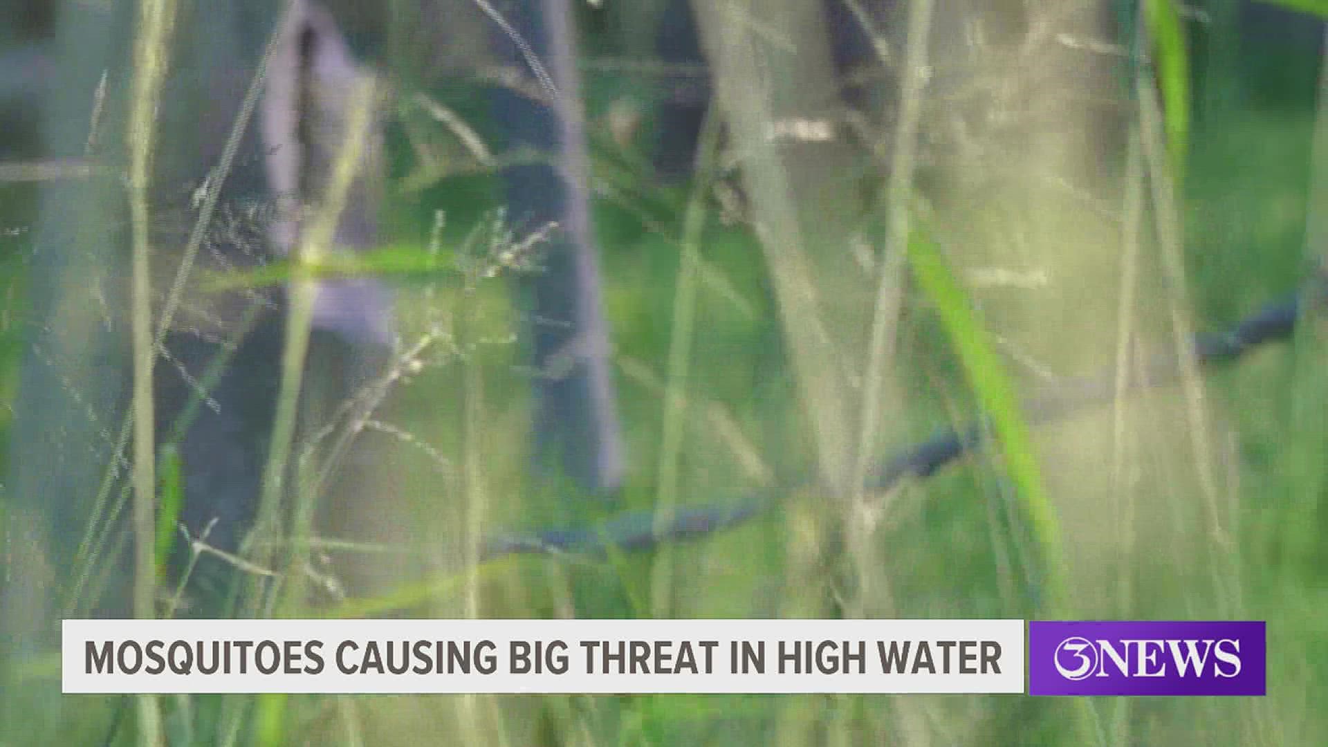 According to Joel Skidmore, Program Manager for Vector Control, marshy areas like Calallen, North Beach and Padre Island produce large quantities of the insects.