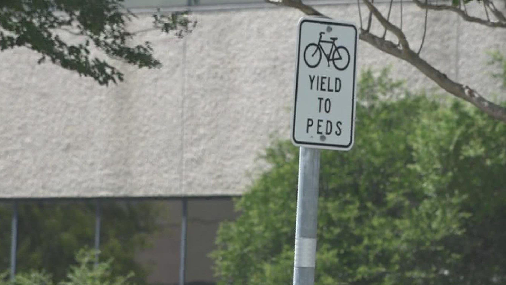 A petition with more than 600 signatures calls for safer bike lanes across the city.