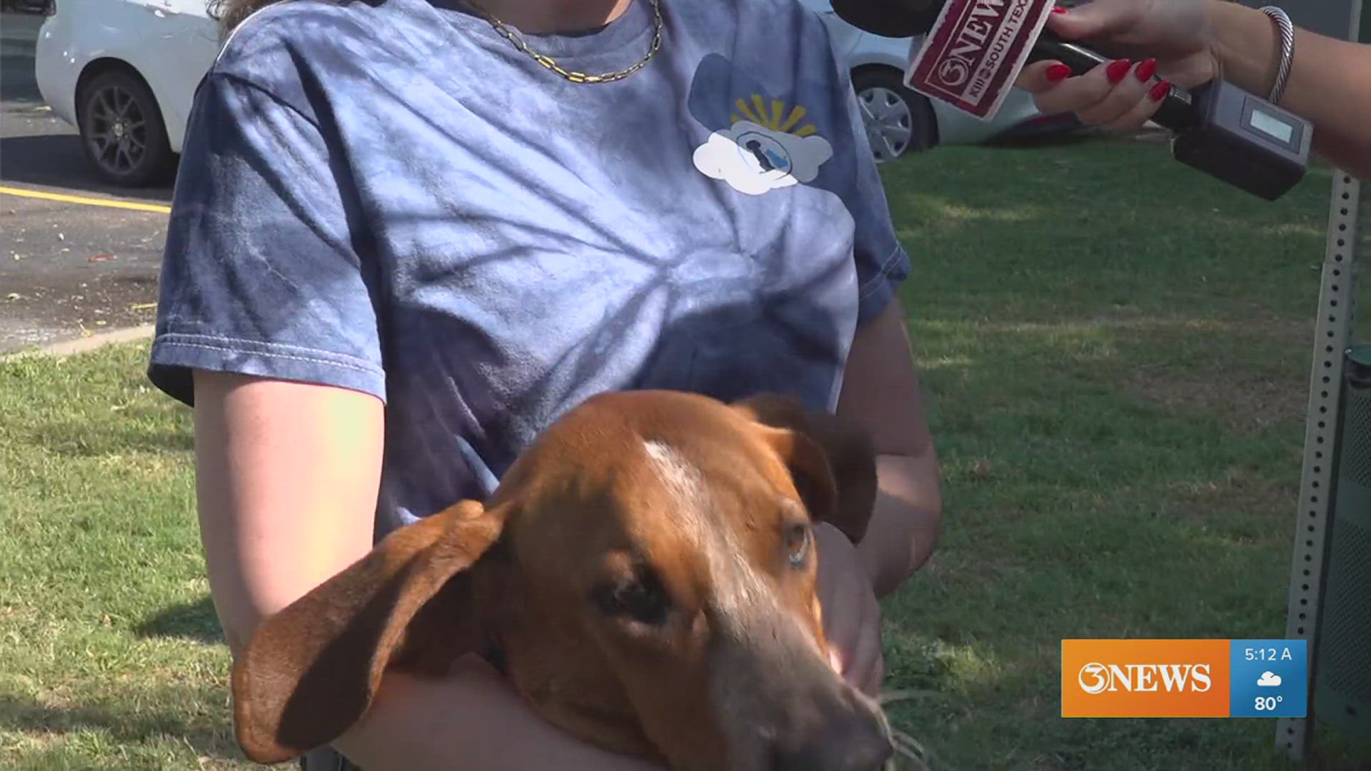 Hunter is a three-year-old Pointer mix who has been with the Gulf Coast Humane Society for longer than any other current resident. You can adopt him today!