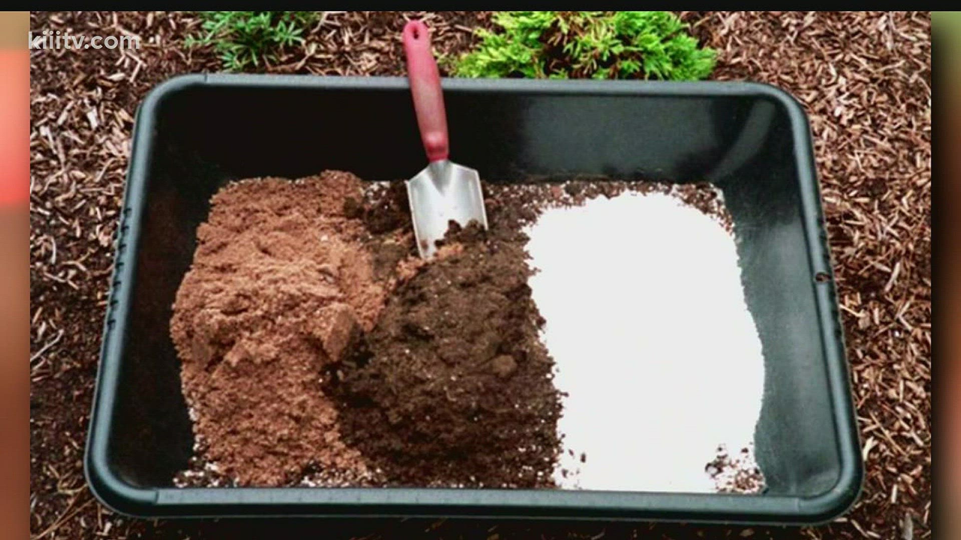 South Texas Gardener: Seed Starting Mix