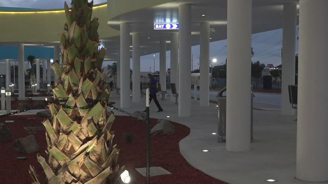 Texas rattlesnake handler dies from bite at Rattlesnake Roundup