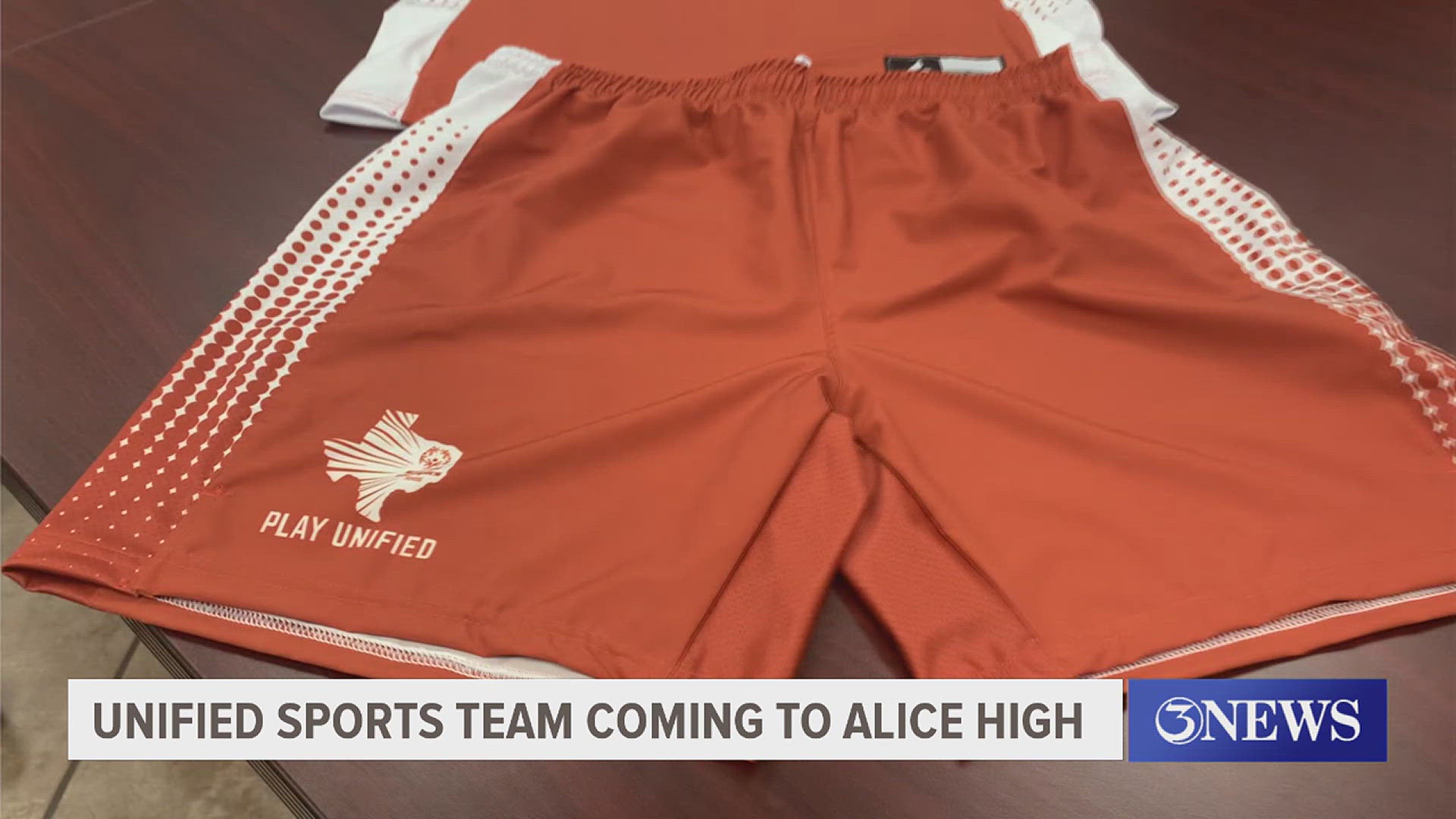 The co-ed high school basketball team will include players with intellectual disabilities.