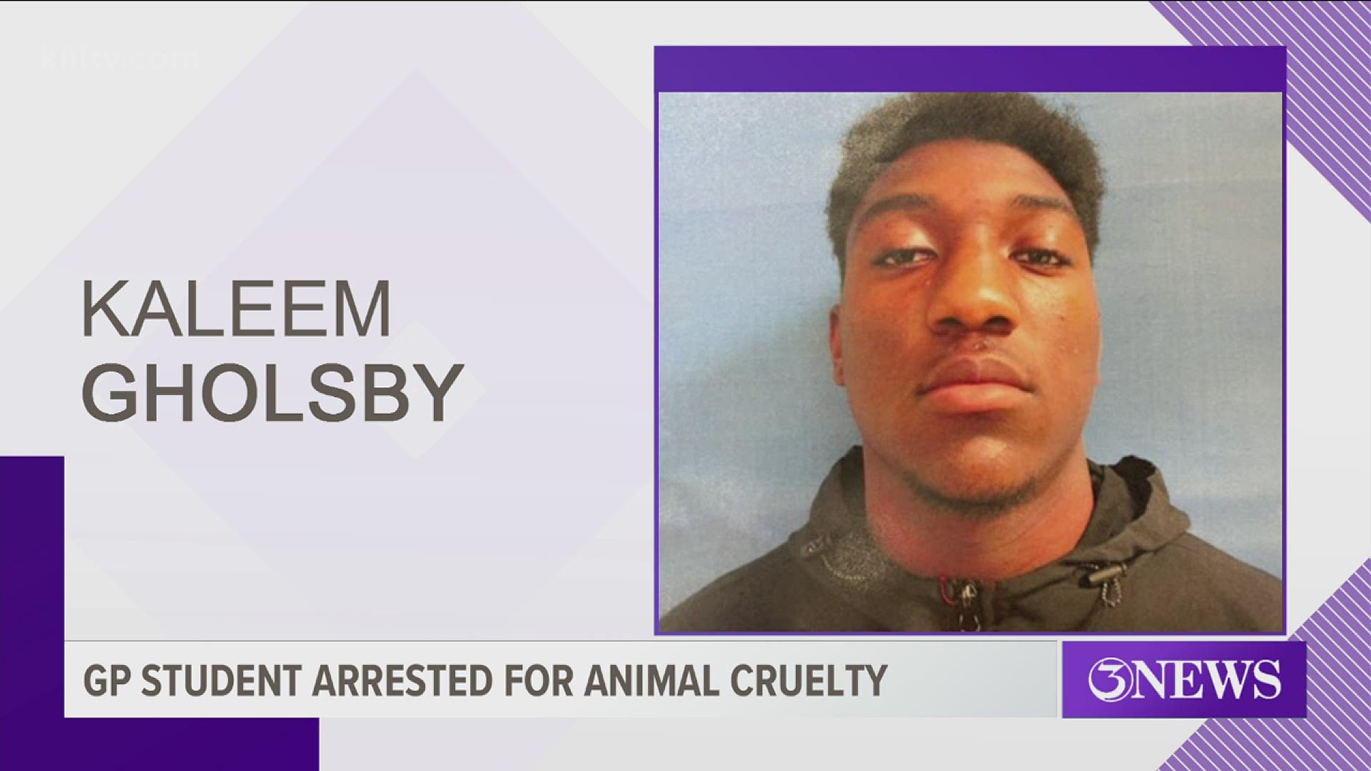 A disturbing video circling social media showed 17-year-old Kaleem Gholsby slamming a cat on the ground.