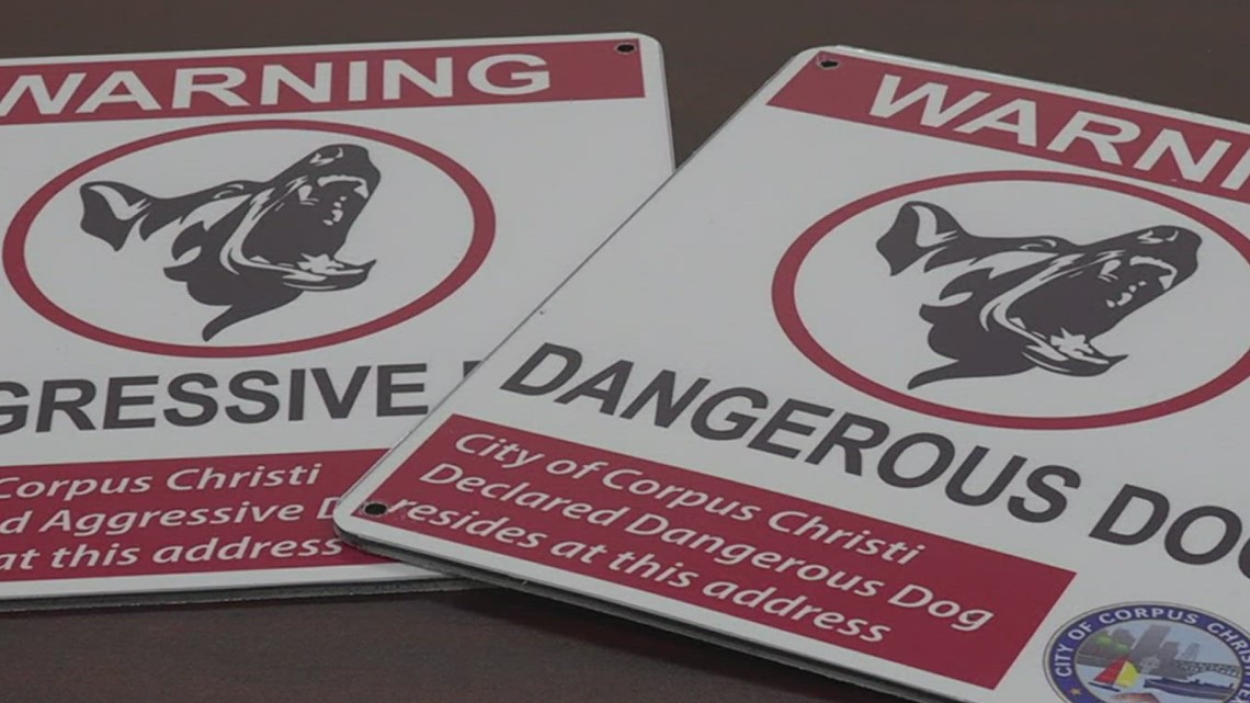 City Of Corpus Christi Sets New Requirements For Dogs Deemed As   7a54fdc1 5421 4f2b Acf2 Cbb65951e664 1140x641 