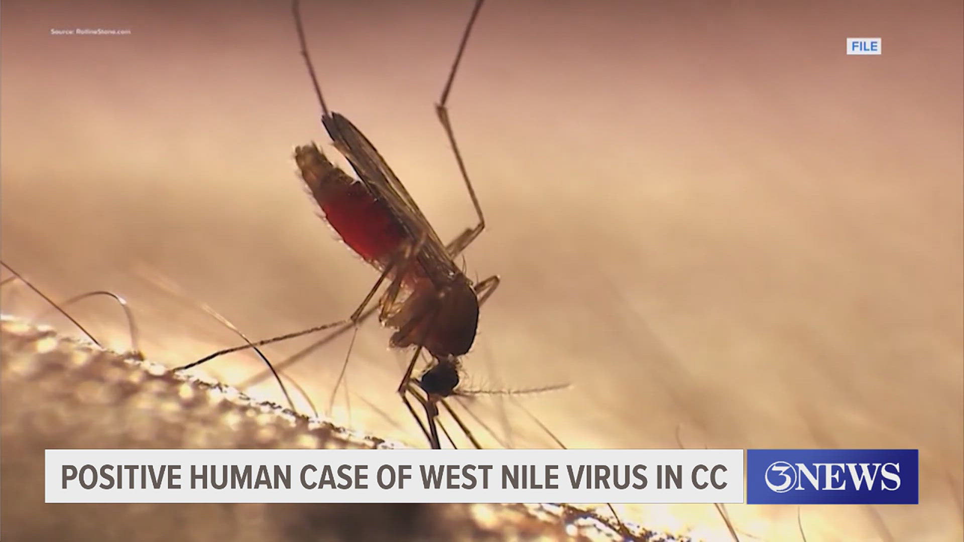 The Health District has detected the first probable human case of West Nile virus infection this year in Corpus Christi.