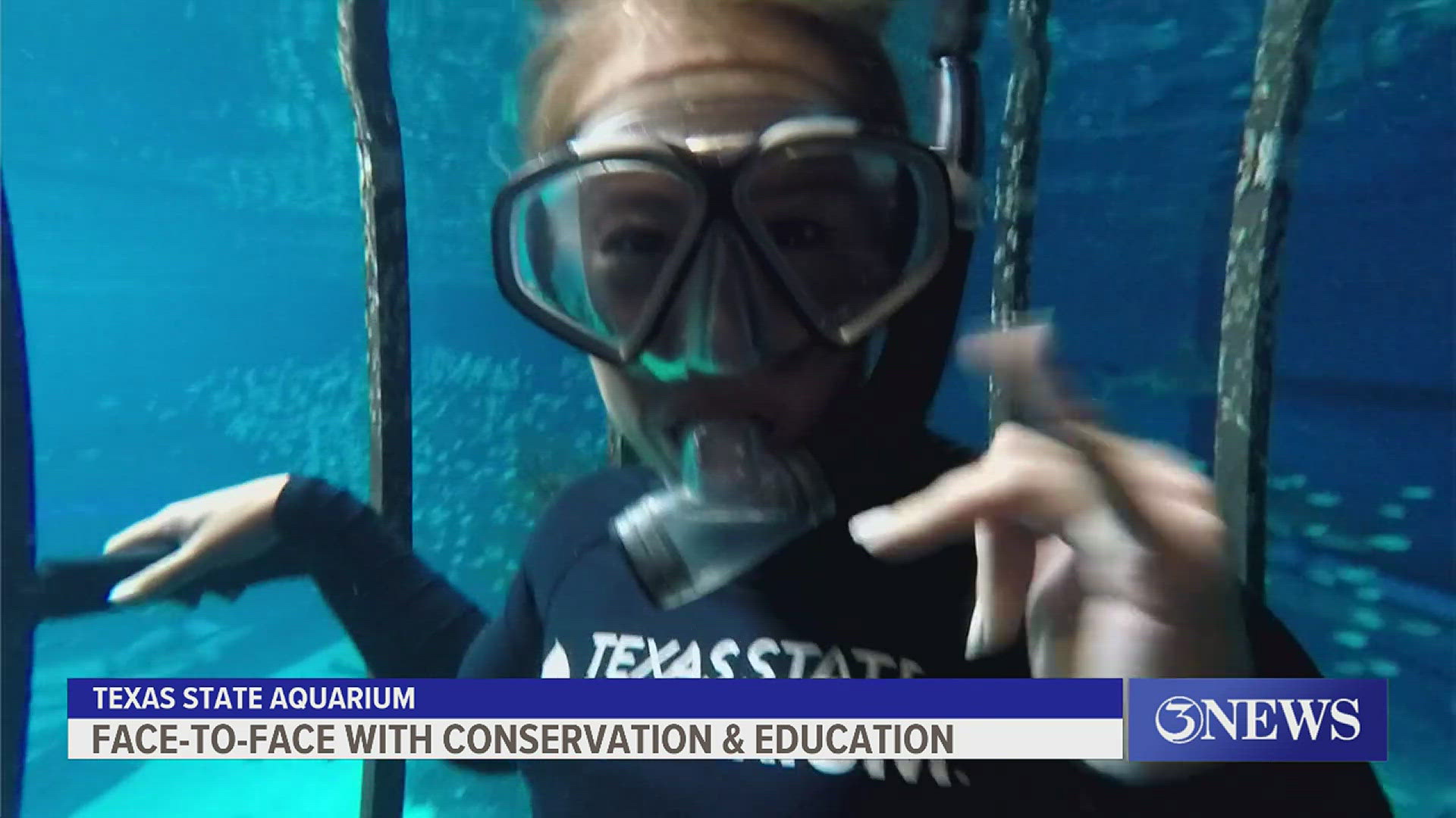 It was all in the name of conservation and rescue at the Texas State Aquarium!