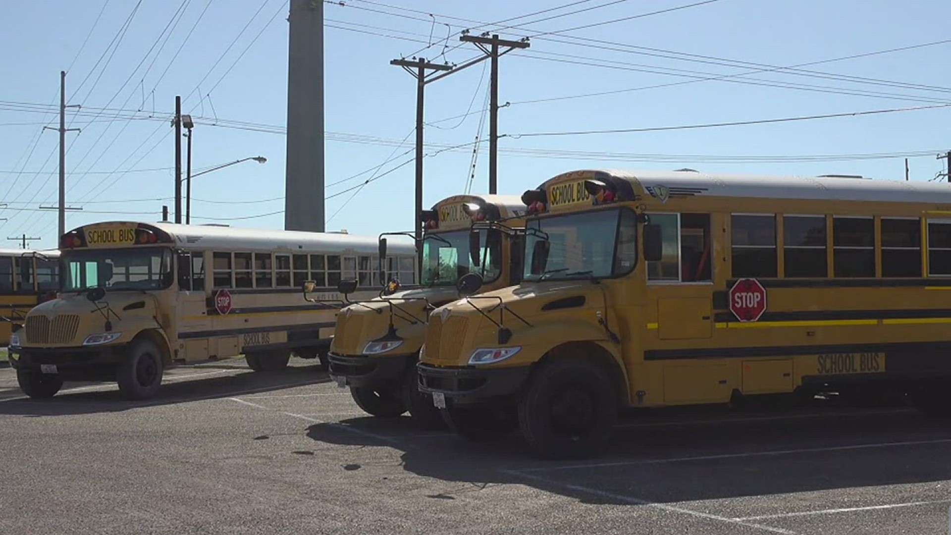 Lidia Herrera looks into how many school busses in the Coastal Bend have seatbelts.