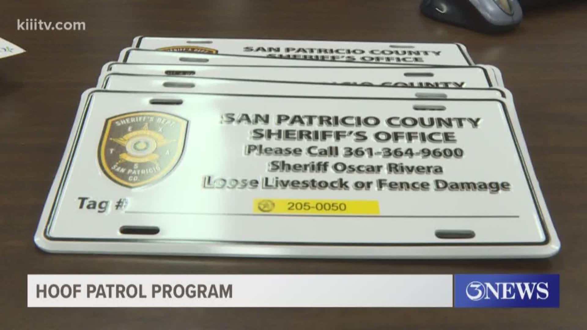 San Patricio County is joining forces with Jim Wells, Bee and Refugio counties in a new program to identify loose animals. It's called the Hoof Patrol Program.