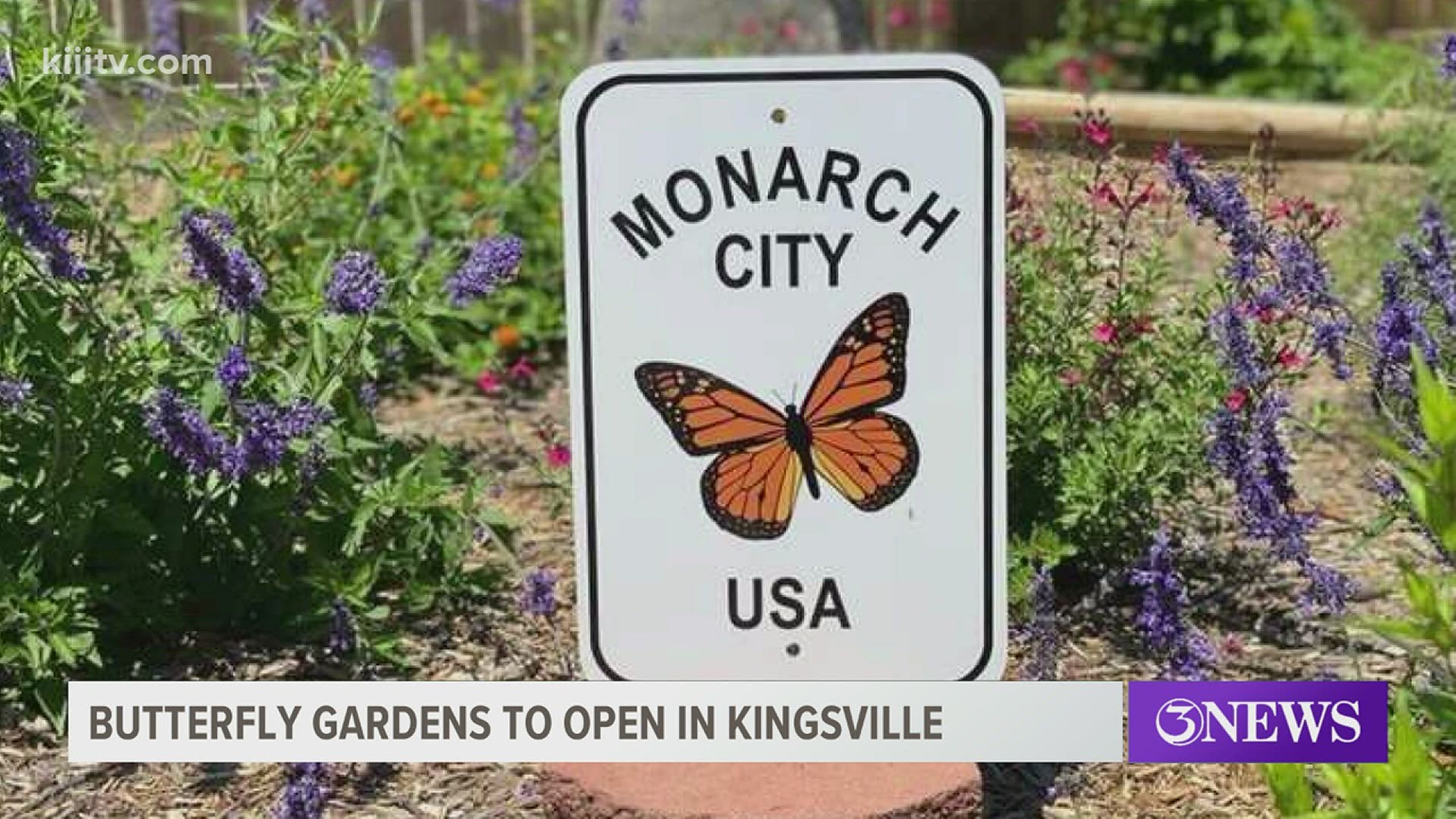 Kingsville is celebrating Earth Day with the installation of two new butterfly gardens.