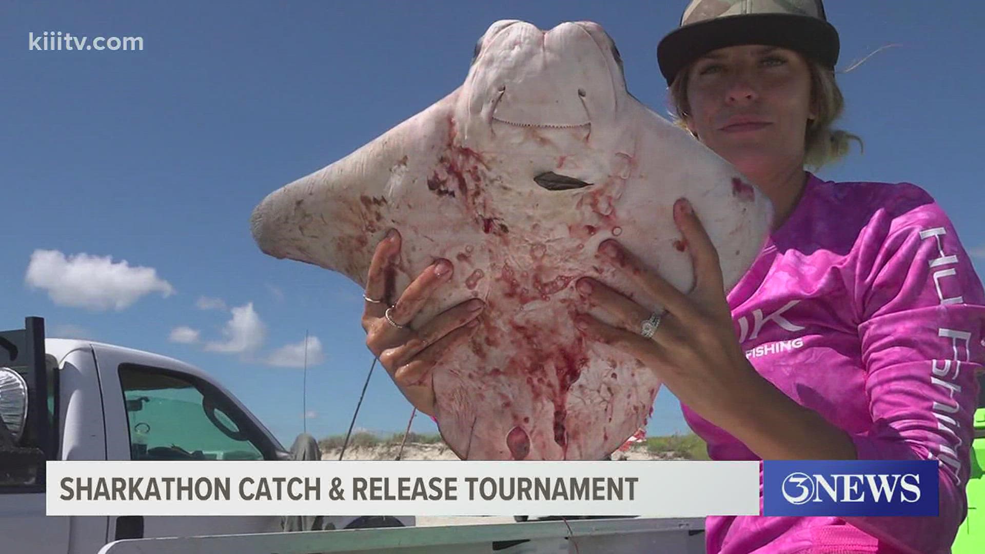 Sharkathon is one of the largest conservation-based fishing tournaments and aims to educate fishermen on the importance of catch-and-release when it comes to sharks.