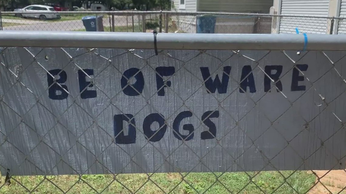 Aransas Co. residents demand action as stray dogs plague Rockport - Vimarsana News