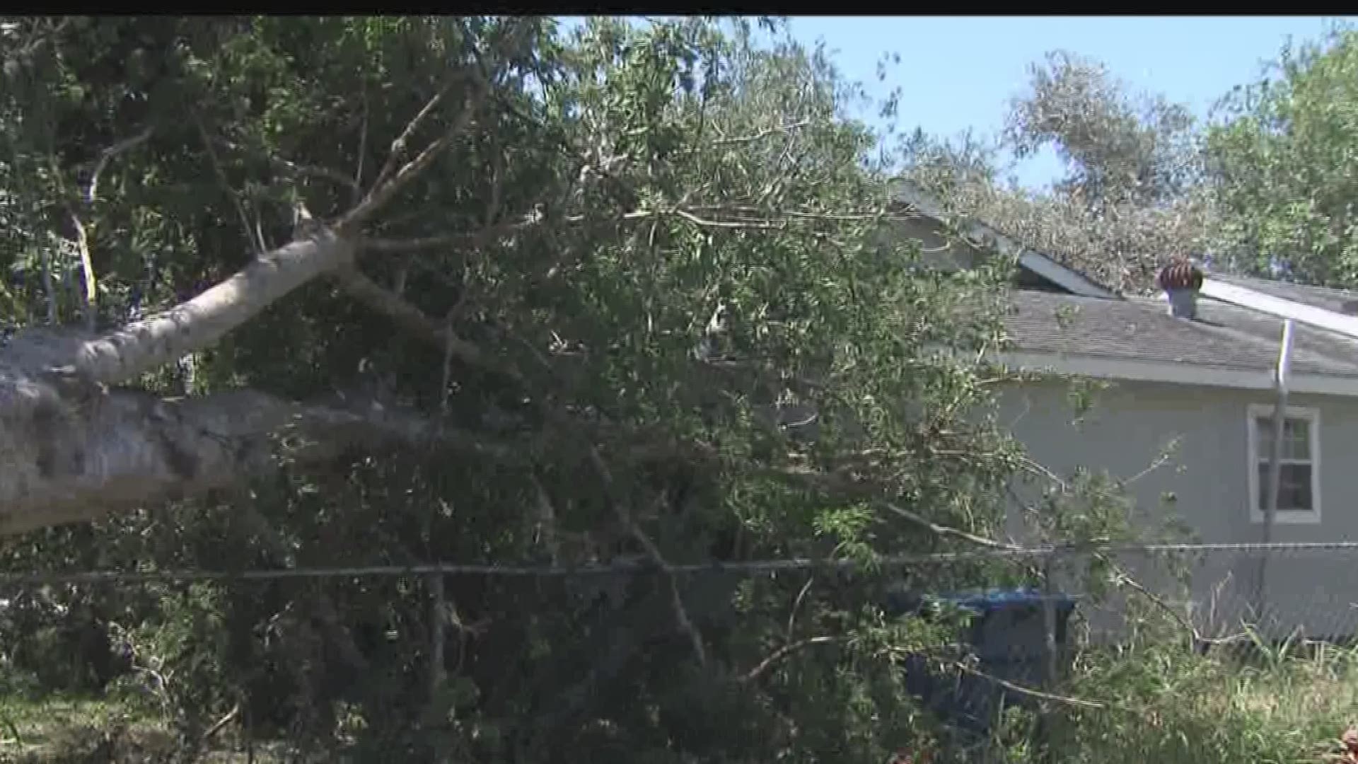 The National Weather Service sent a team to the Beeville area Wednesday to try and determine if it was straight line winds or a tornado that hit the area Tuesday night.