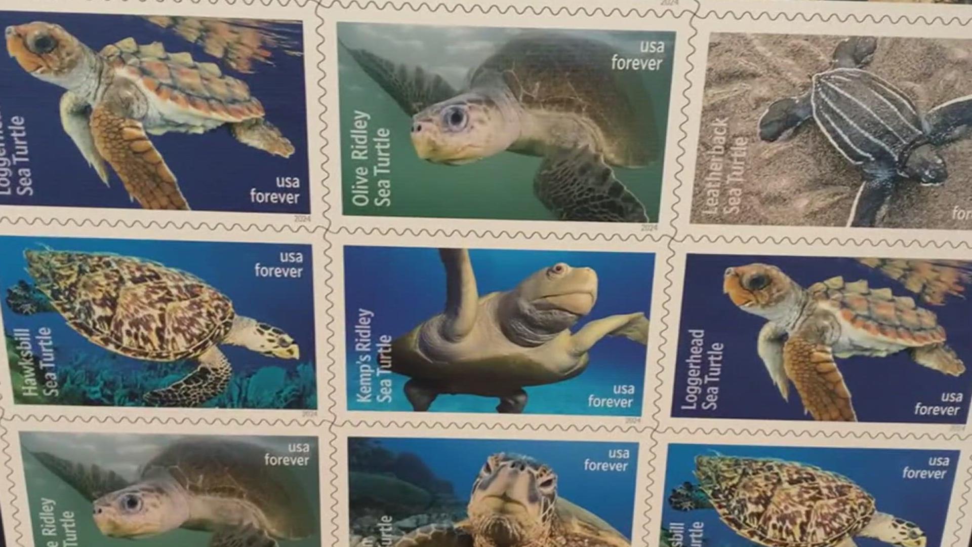 Six new stamps are aimed at raising awareness for the Kemp's ridley, the leatherback, the olive ridley, the green sea turtle, the loggerhead, and the hawksbill!