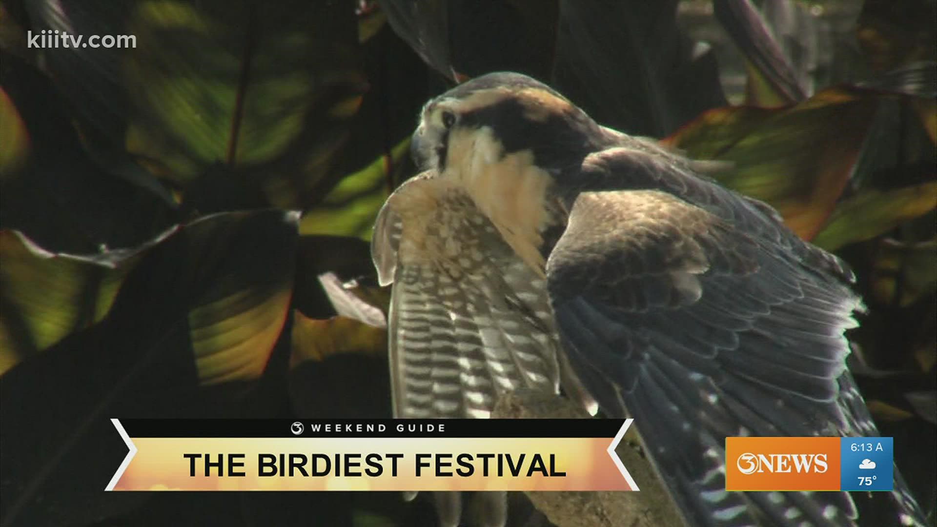 Weekend guide: Here's what is happening in Corpus Christi this weekend ...
