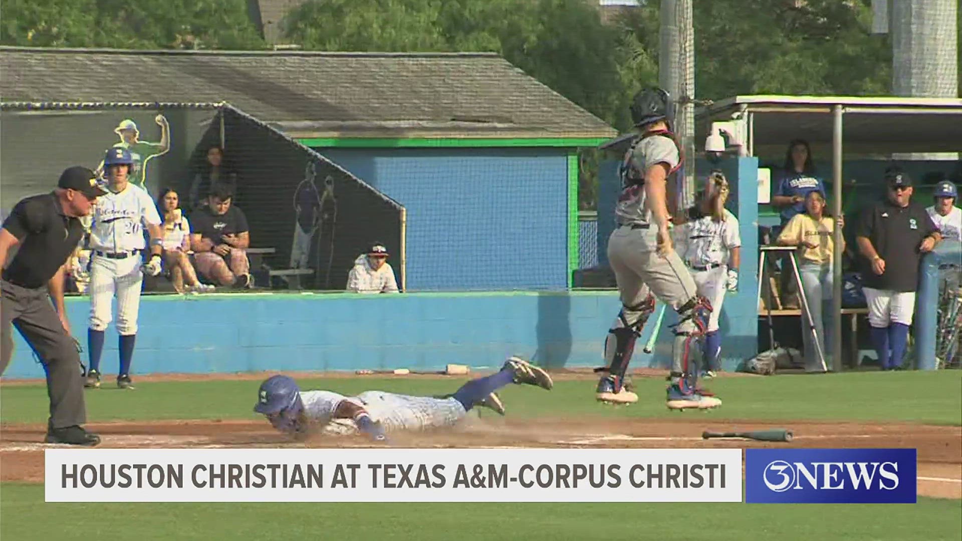 Texas A&M-Corpus Christi fell to Houston Christian, 6-2.