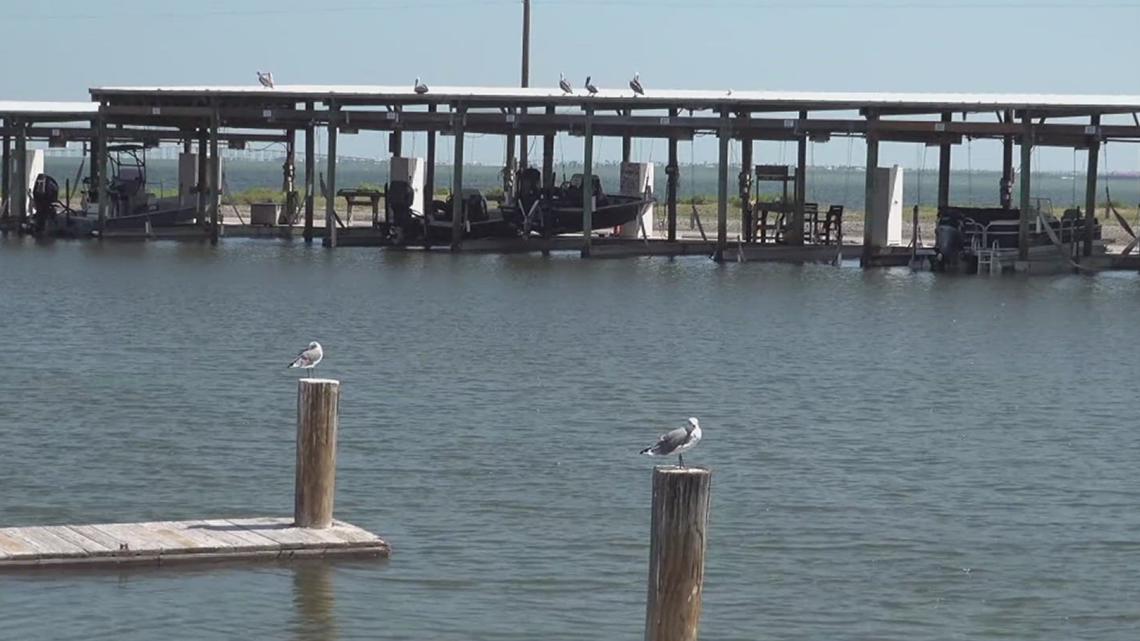 4 candidates running for Corpus Christi District 4 council seat