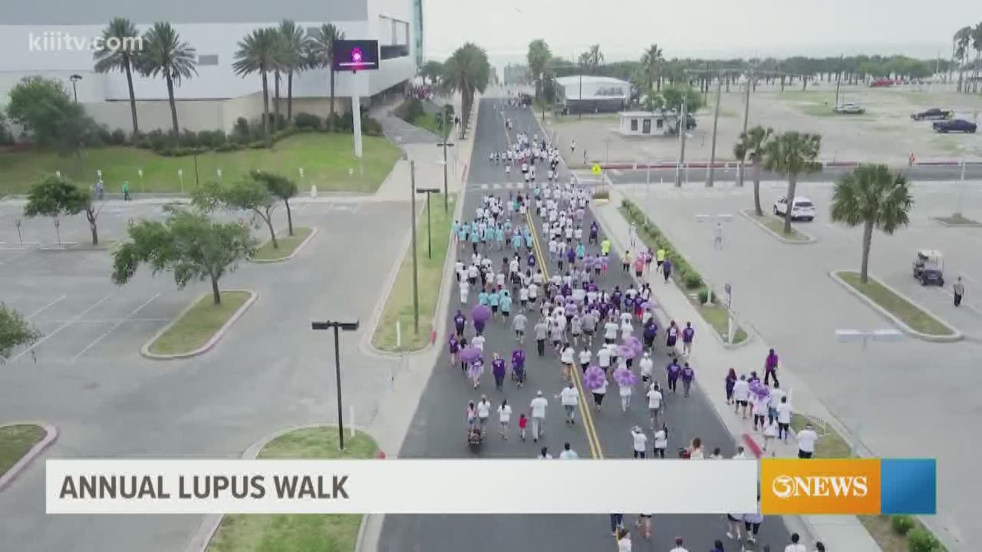 Join the walk on May 25th, raising awareness and funds to end Lupus.