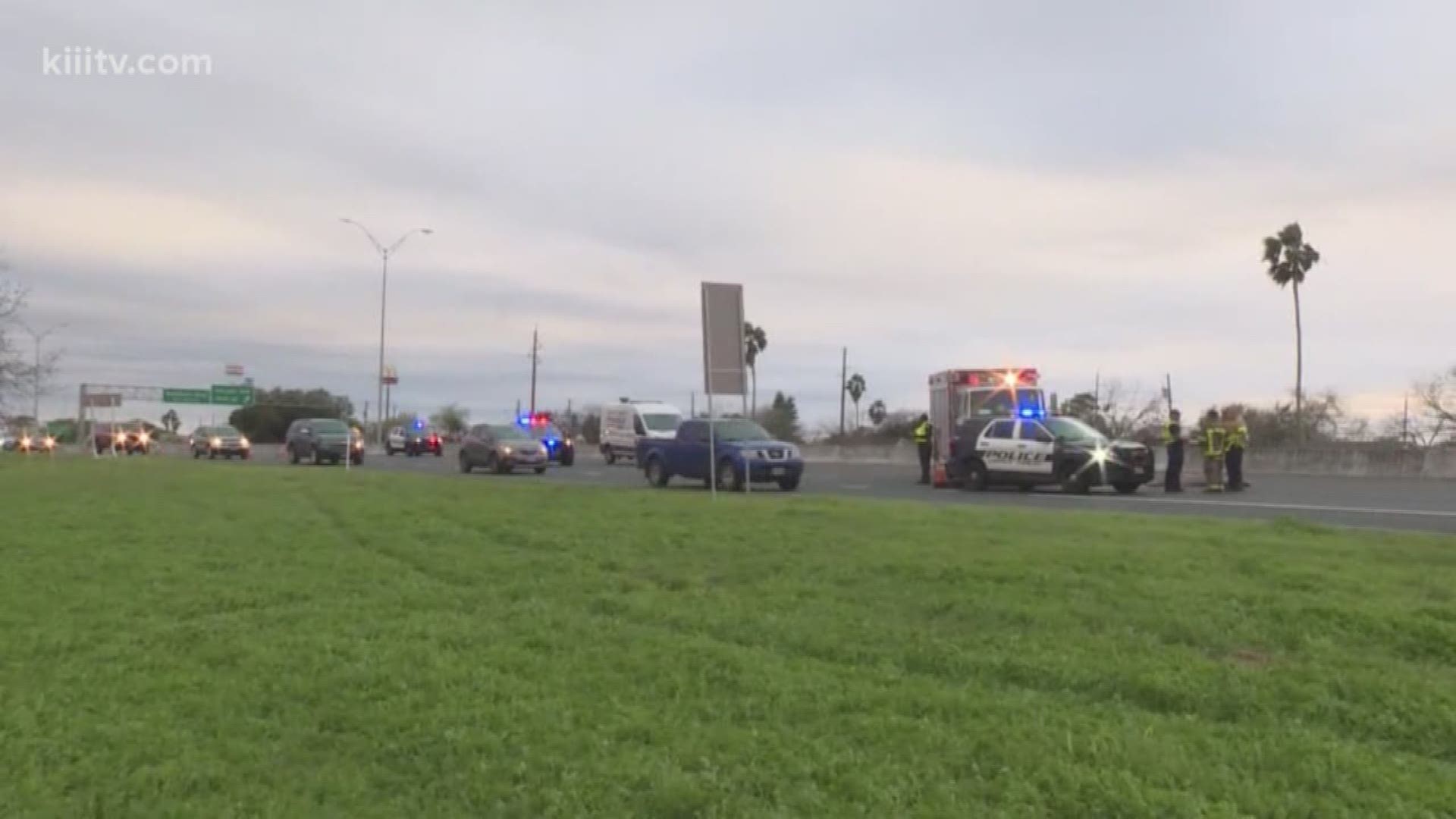According to police, a group of pedestrians were crossing the freeway when one of them was hit.