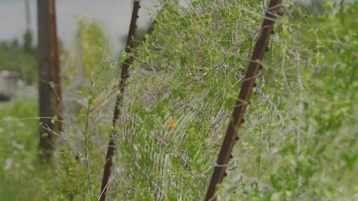 Brooks County Judge says ending of Title 42 will result in more human