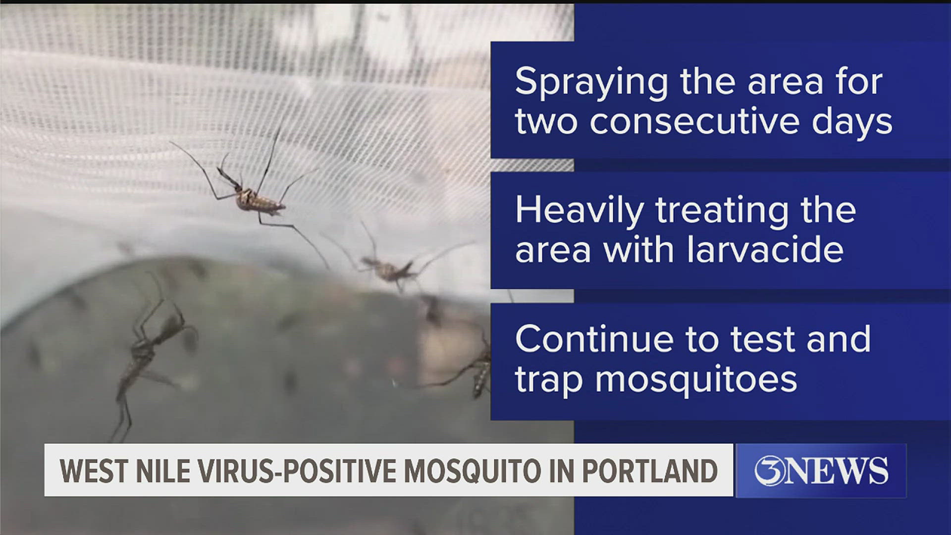 Officials said there are currently no reported human cases of West Nile virus in Portland.