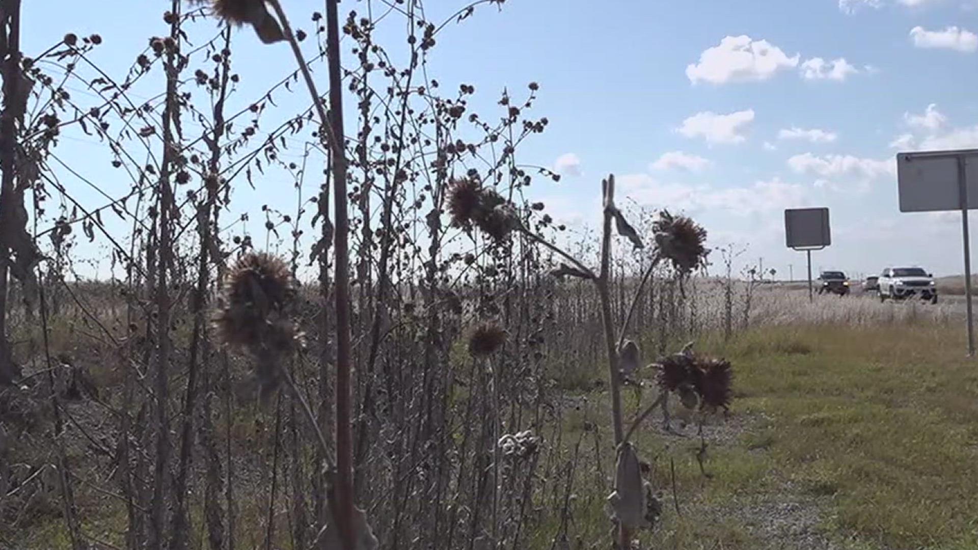 Dry conditions put unincorporated areas at risk for fires. Nueces County has issued a burn ban for the next 30 days. 