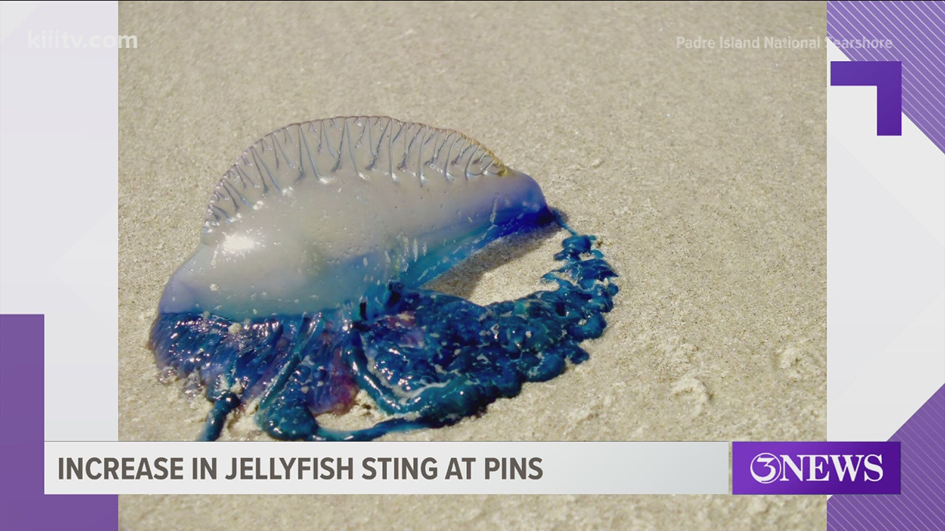 With limited services at PINS and an increase in jellyfish, officials say it is best to always be prepared when visiting the beach.