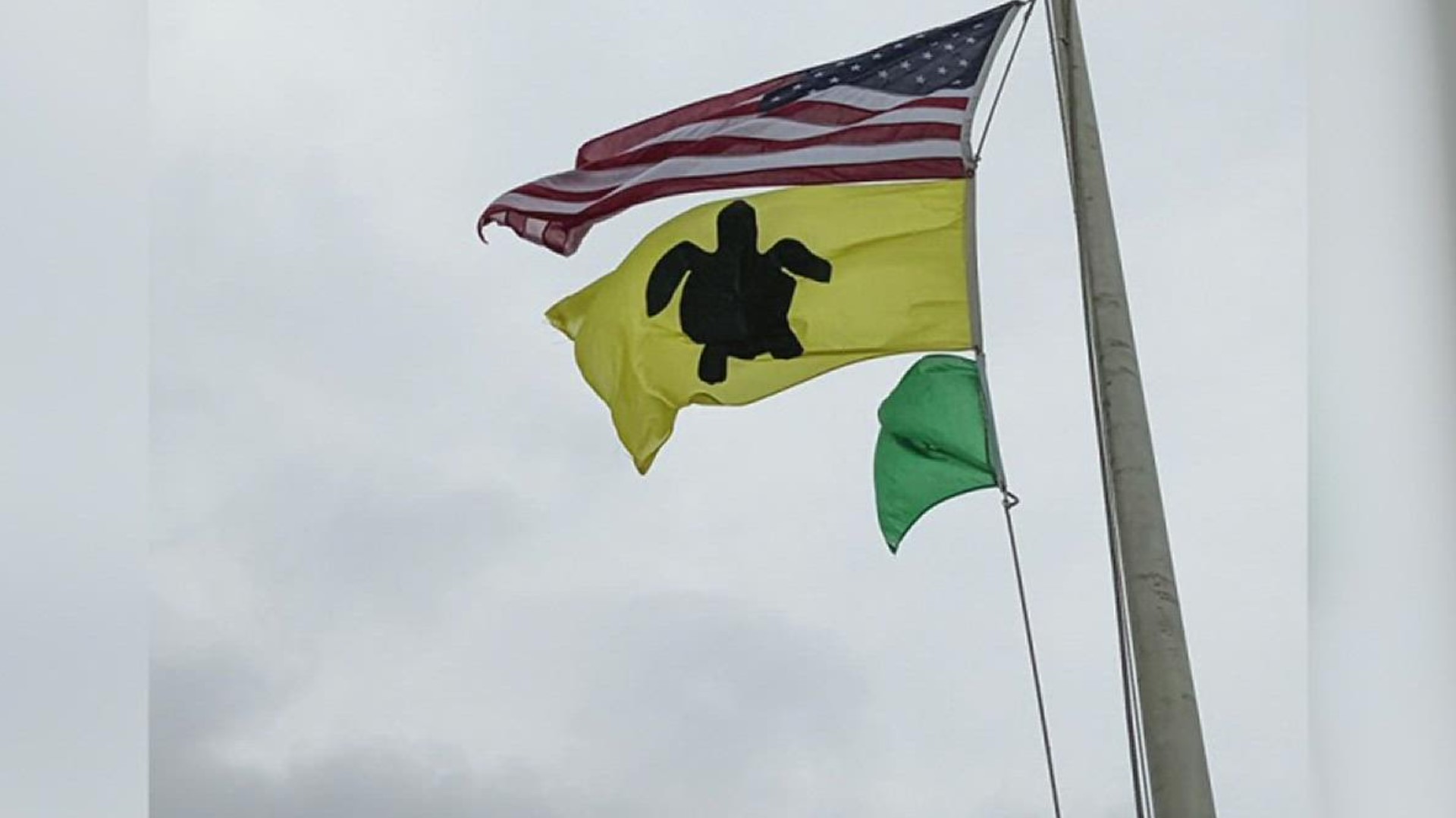 This bright yellow flag is rose whenever Kemps ridley sea turtles are found nesting