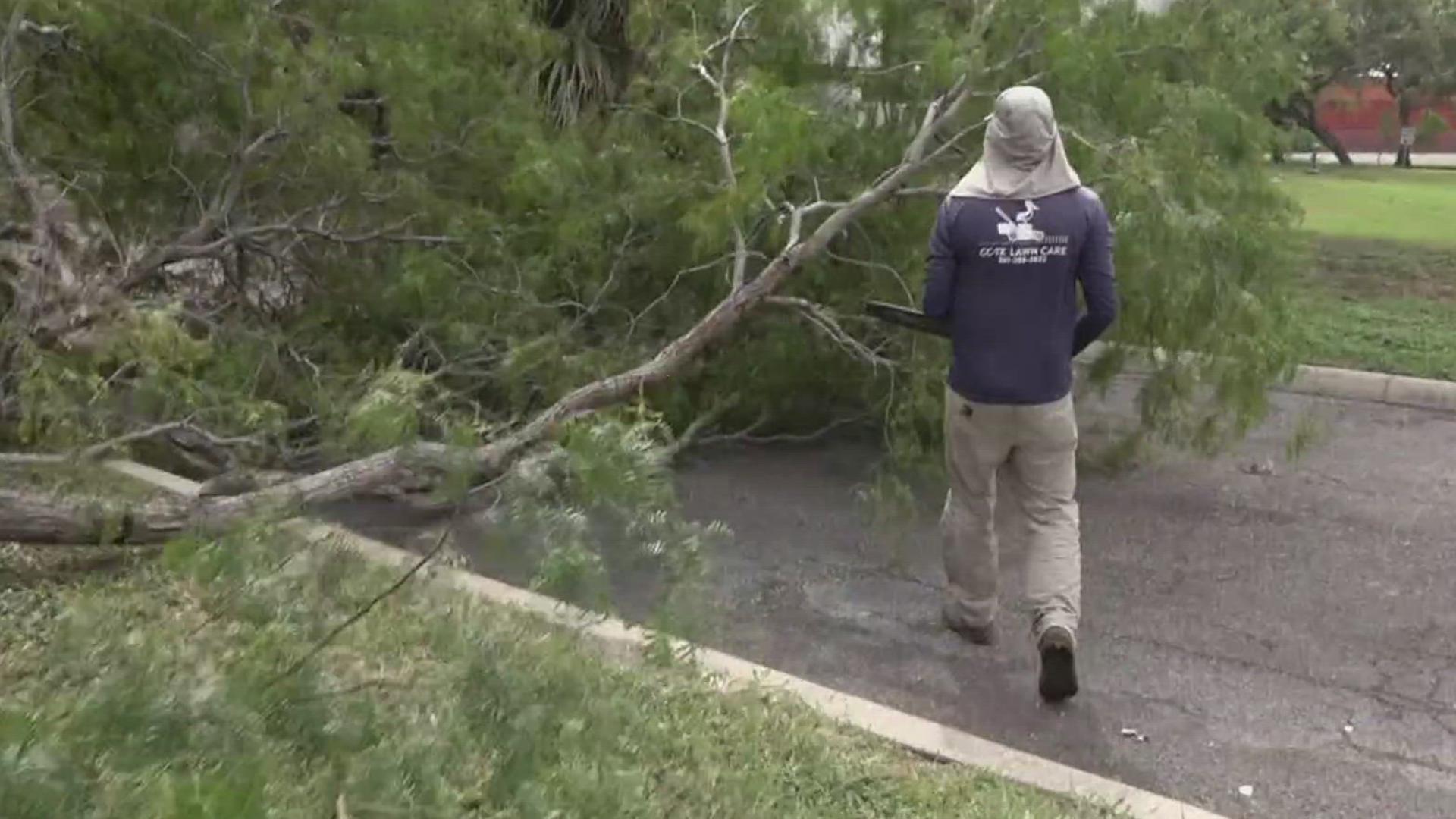 Local lawn service officials say this storm should serve as a reminder to tidy up your trees for hurricane season which officially starts June 1.
