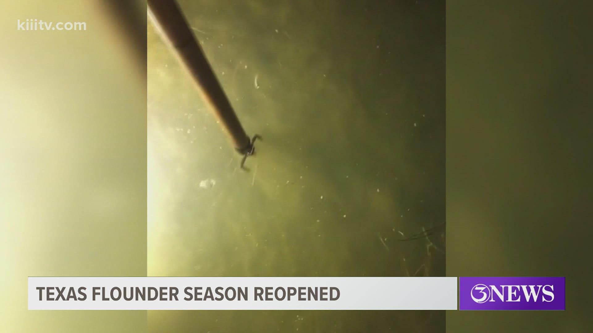 Flounder fishing season comes back after six week pause