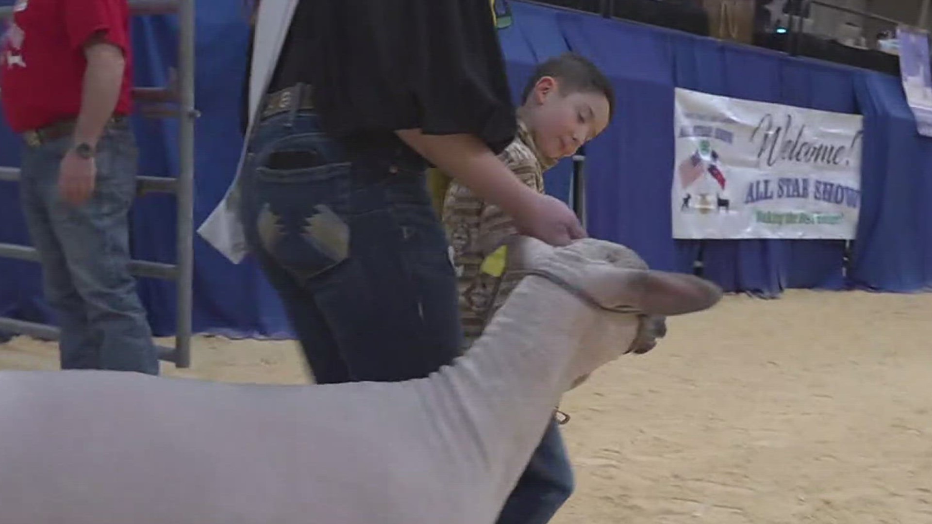 Our Madeline Salinas joins us live from the Nueces County Junior Livestock Show.