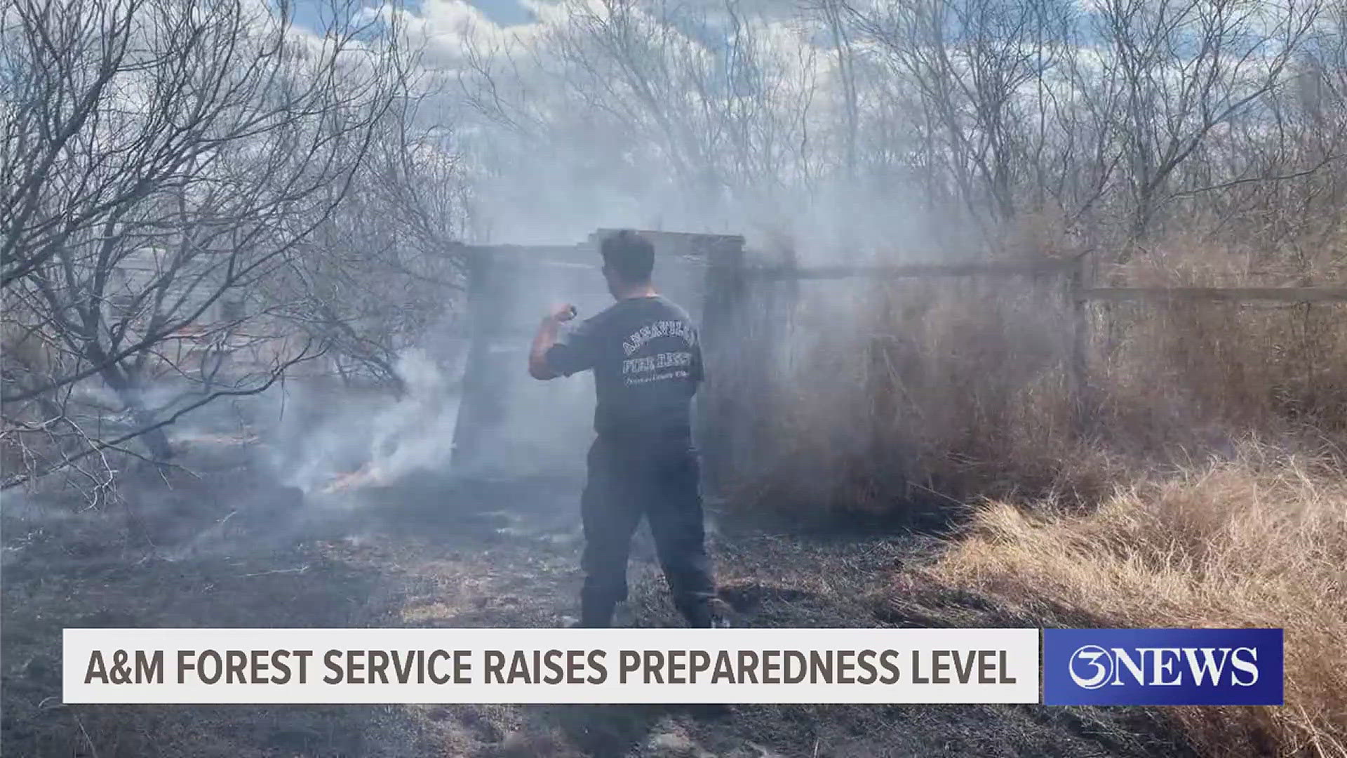 Officials with the Texas A&M Forest Service said raising the wildfire preparedness level means certain regions will need to see more manpower, including South Texas.