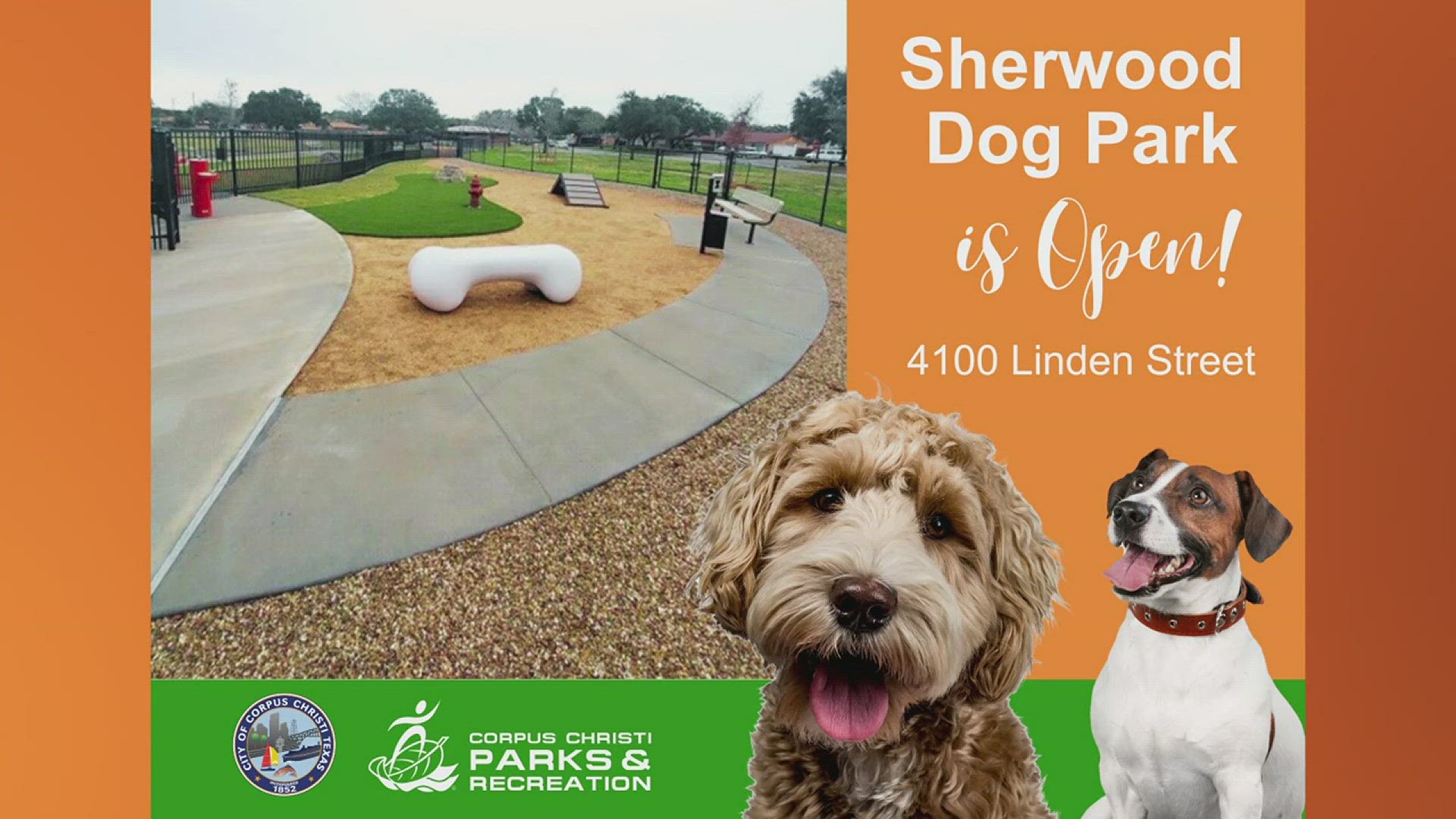 Dog parks near me hot sale now