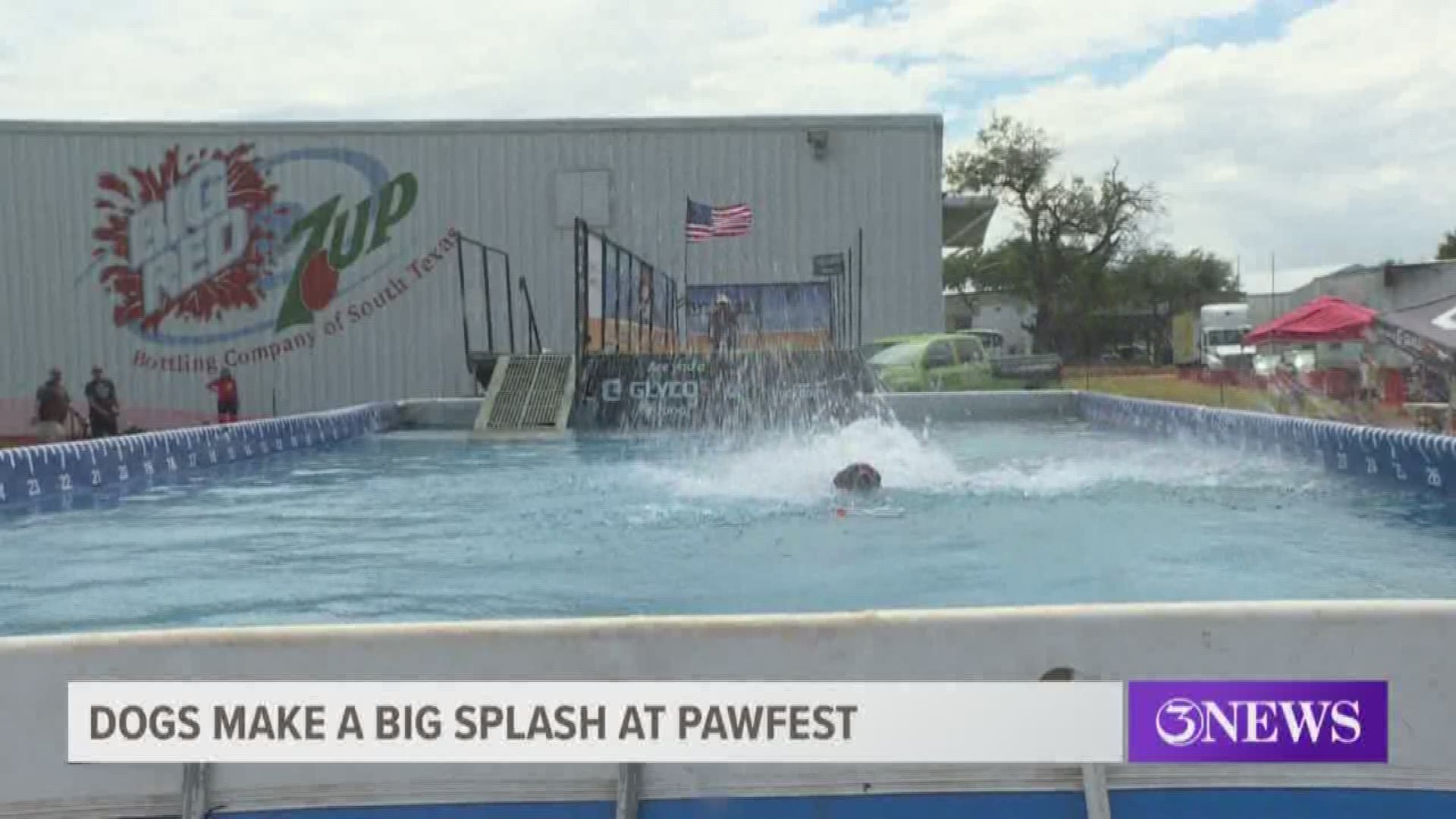 10 Annual Pawfest ends with a splash