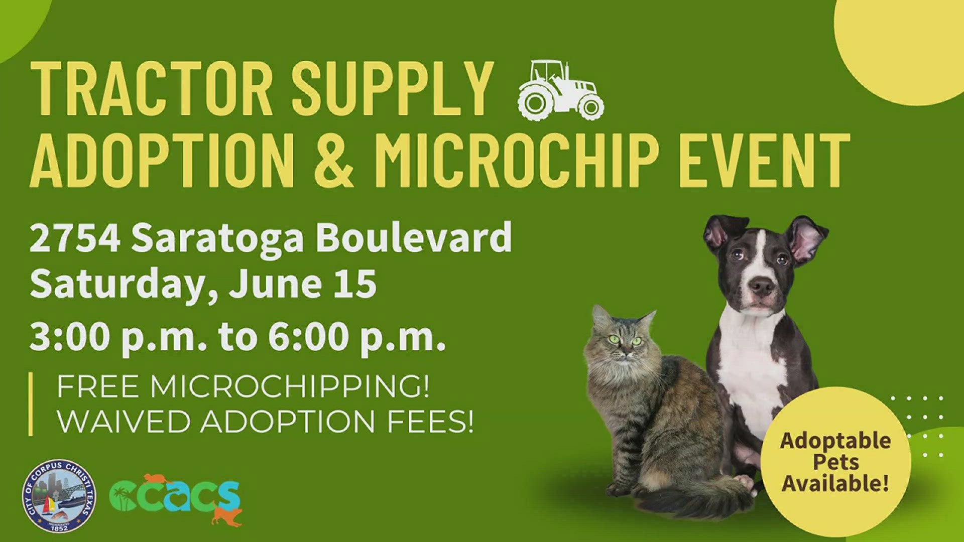 Other services offered includes waived adoption fees.