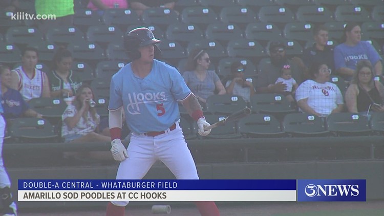 Lee, Brown power Hooks to shutout win over Sod Poodles - 3Sports