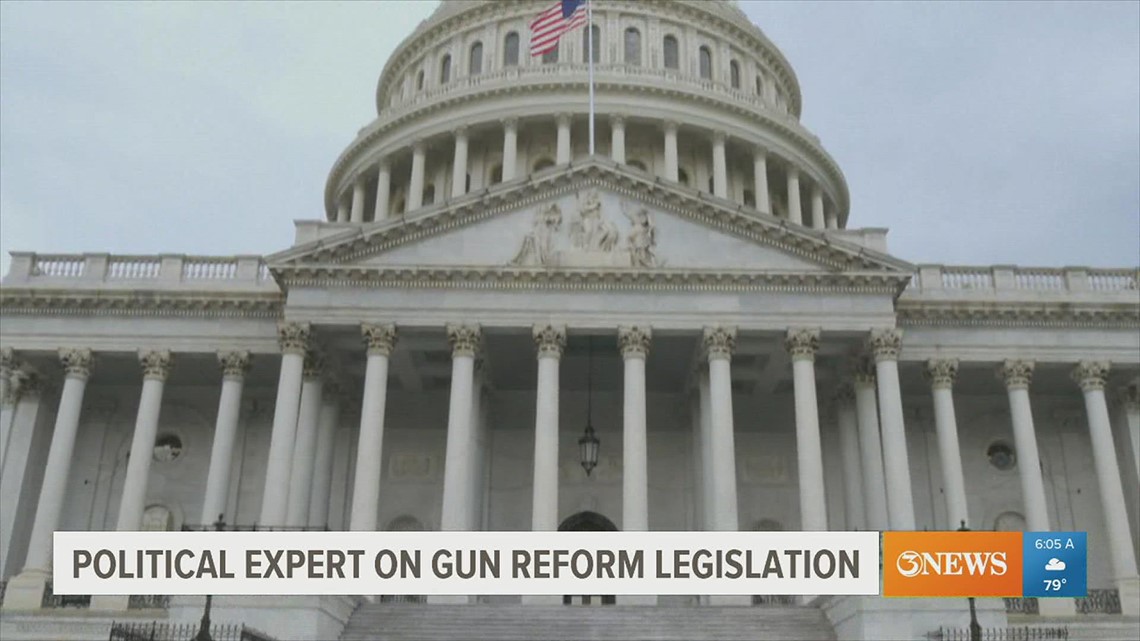 South Texas Political Expert gives insight on gun reform legislation