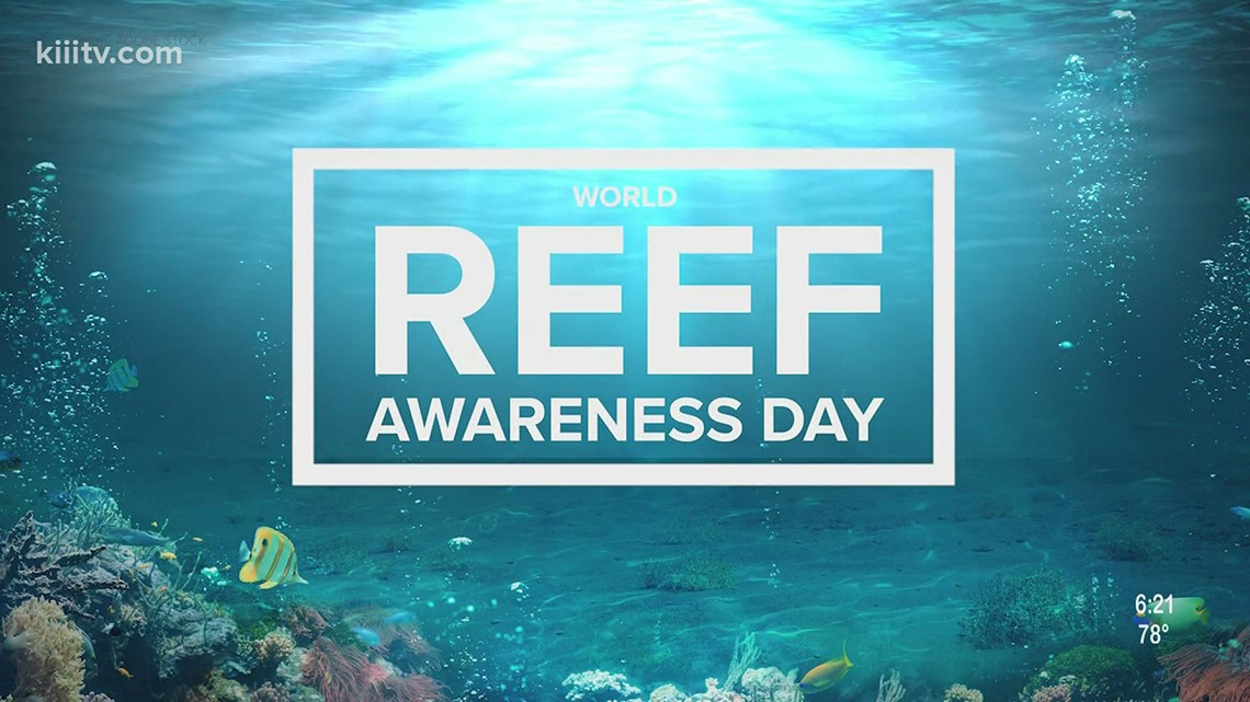 World Reef Awareness Day