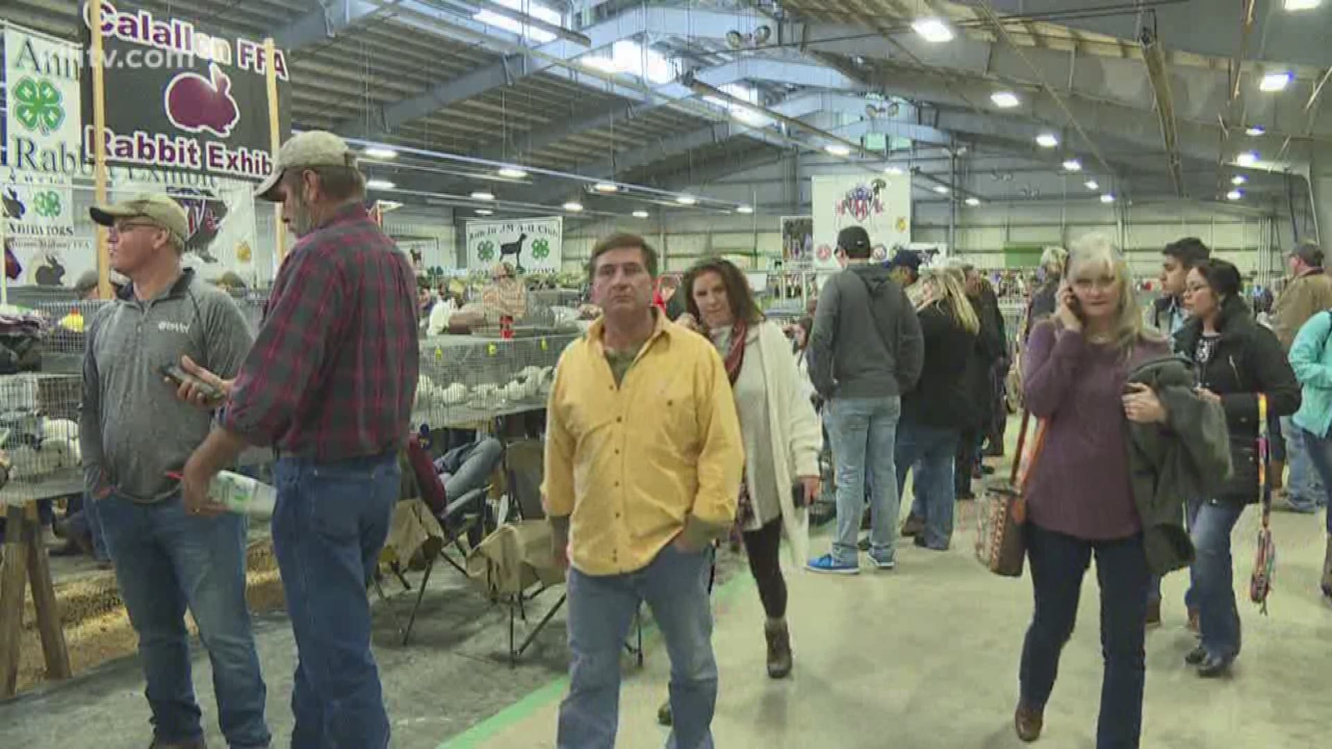 Over 1,000 students have been preparing all year long to show off their prized livestock and other creations to judges.