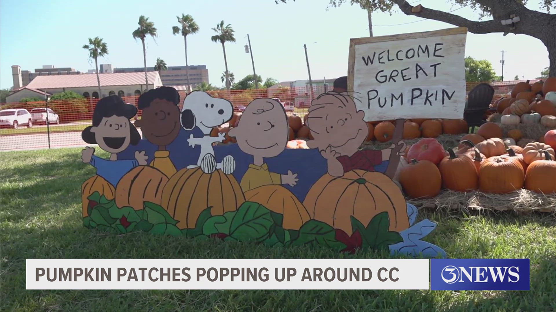 Head over to kiiitv.com to find a pumpkin patch near you!