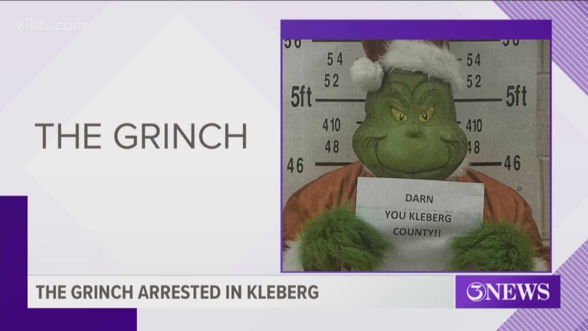 The Kleberg County Sheriff's Office has foiled the Grinch's attempt to spoil Christmas, and they have the mugshot to prove it.