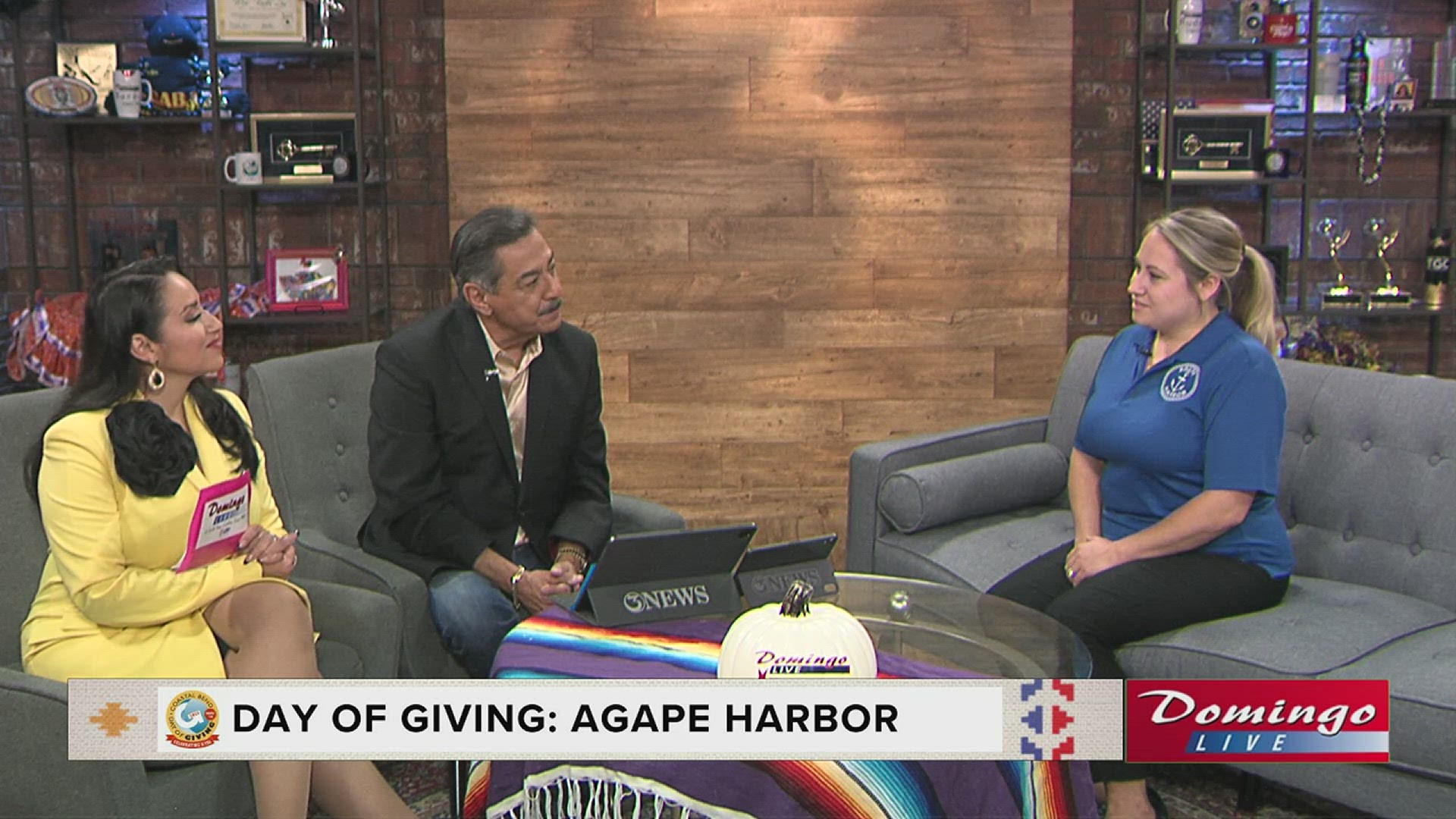 Agape Harbor representative Christina Jinksy joined us on Domingo Live and shared how donations from Day of Giving will help local children in foster care.