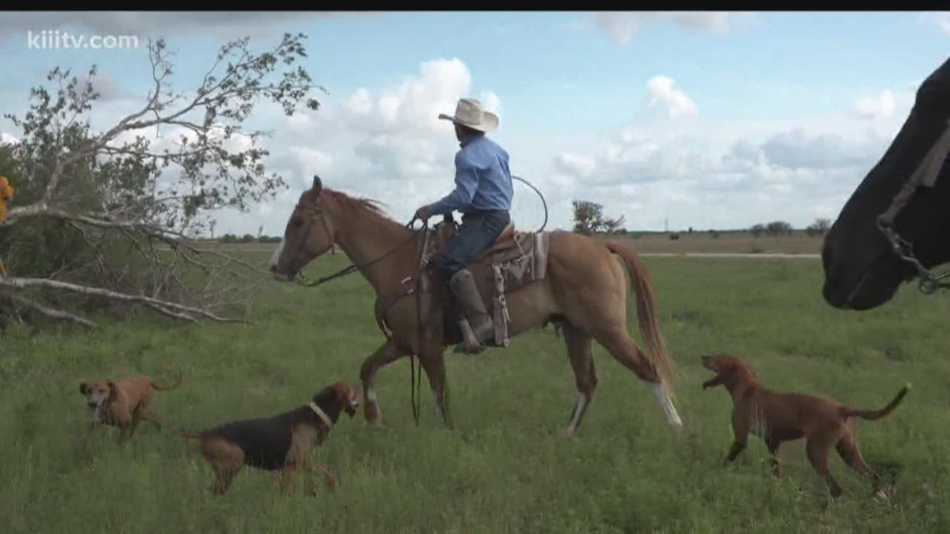 Refugio man helps put end to rhino poaching