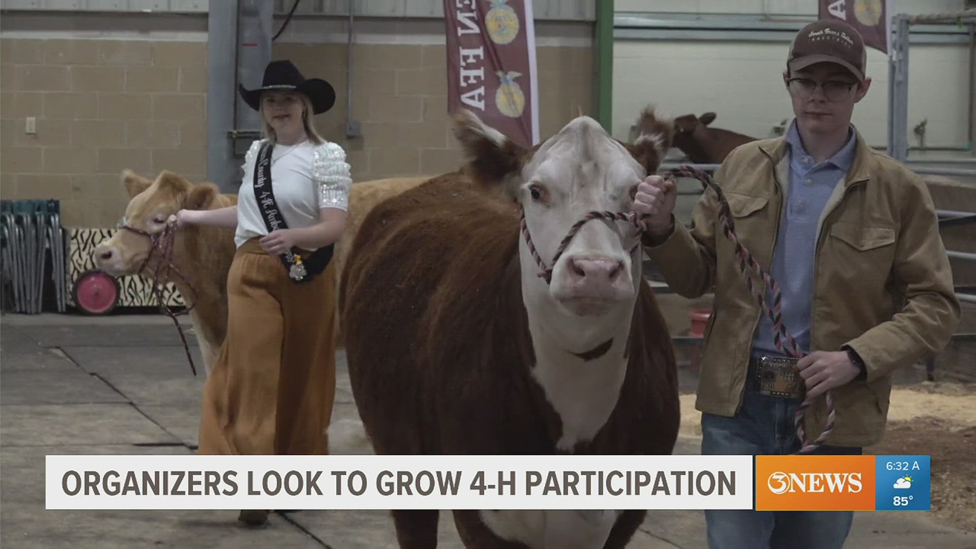 More than 65,000 Texas kids are enrolled in 4-H clubs across the state, but some clubs had seen a decline in numbers, mostly attributed to the COVID pandemic.