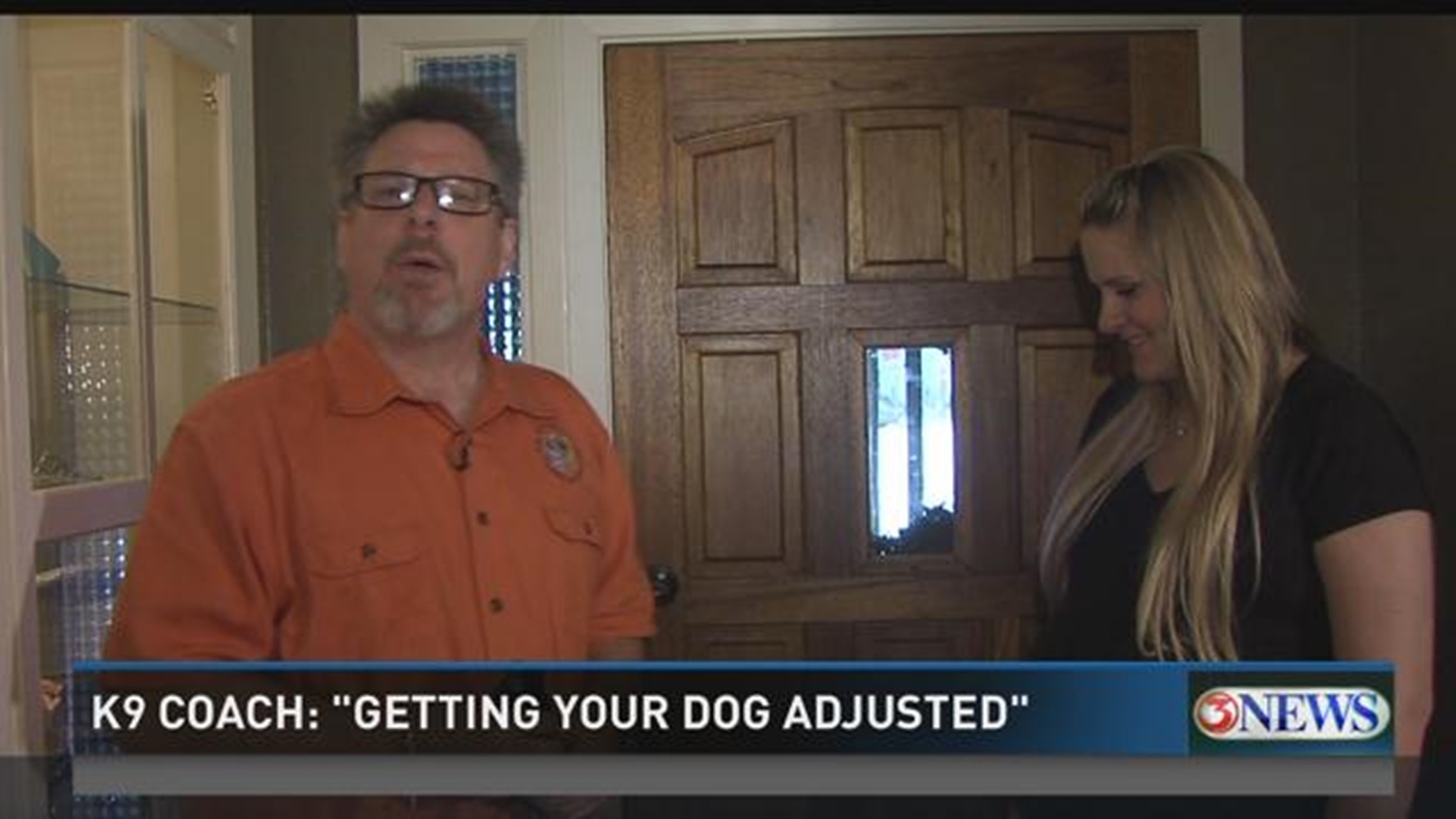 K-9 Coach: Adjusting to a New Addition at Home